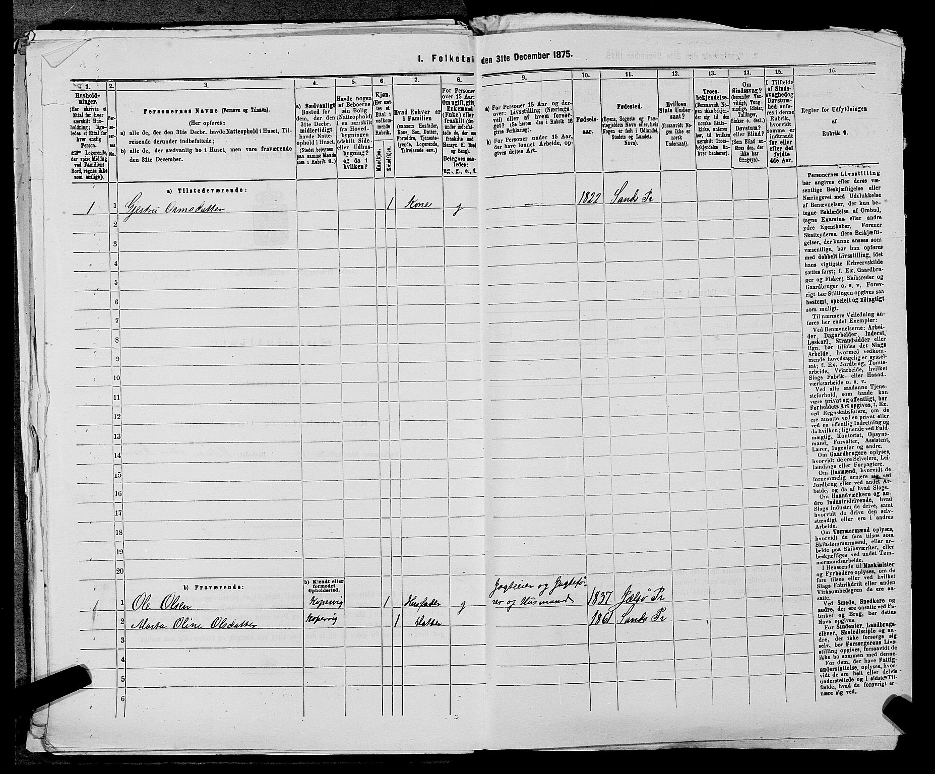 SAST, 1875 census for 1138P Jelsa, 1875, p. 844