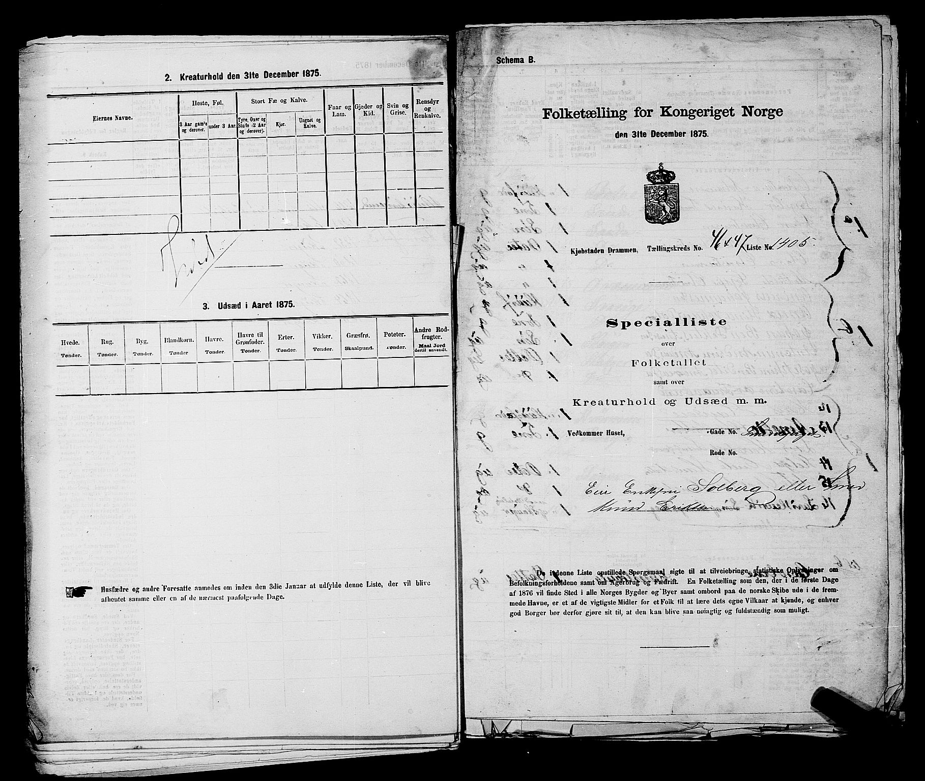 SAKO, 1875 census for 0602 Drammen, 1875, p. 3782