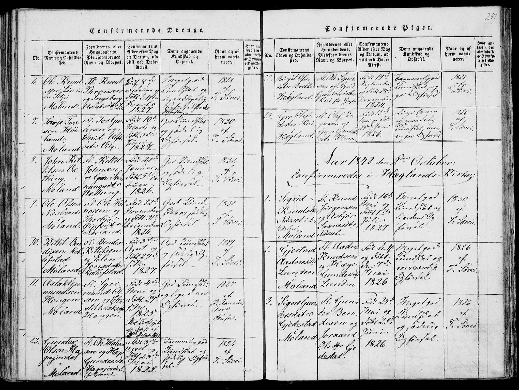 Fyresdal kirkebøker, SAKO/A-263/F/Fa/L0004: Parish register (official) no. I 4, 1815-1854, p. 251
