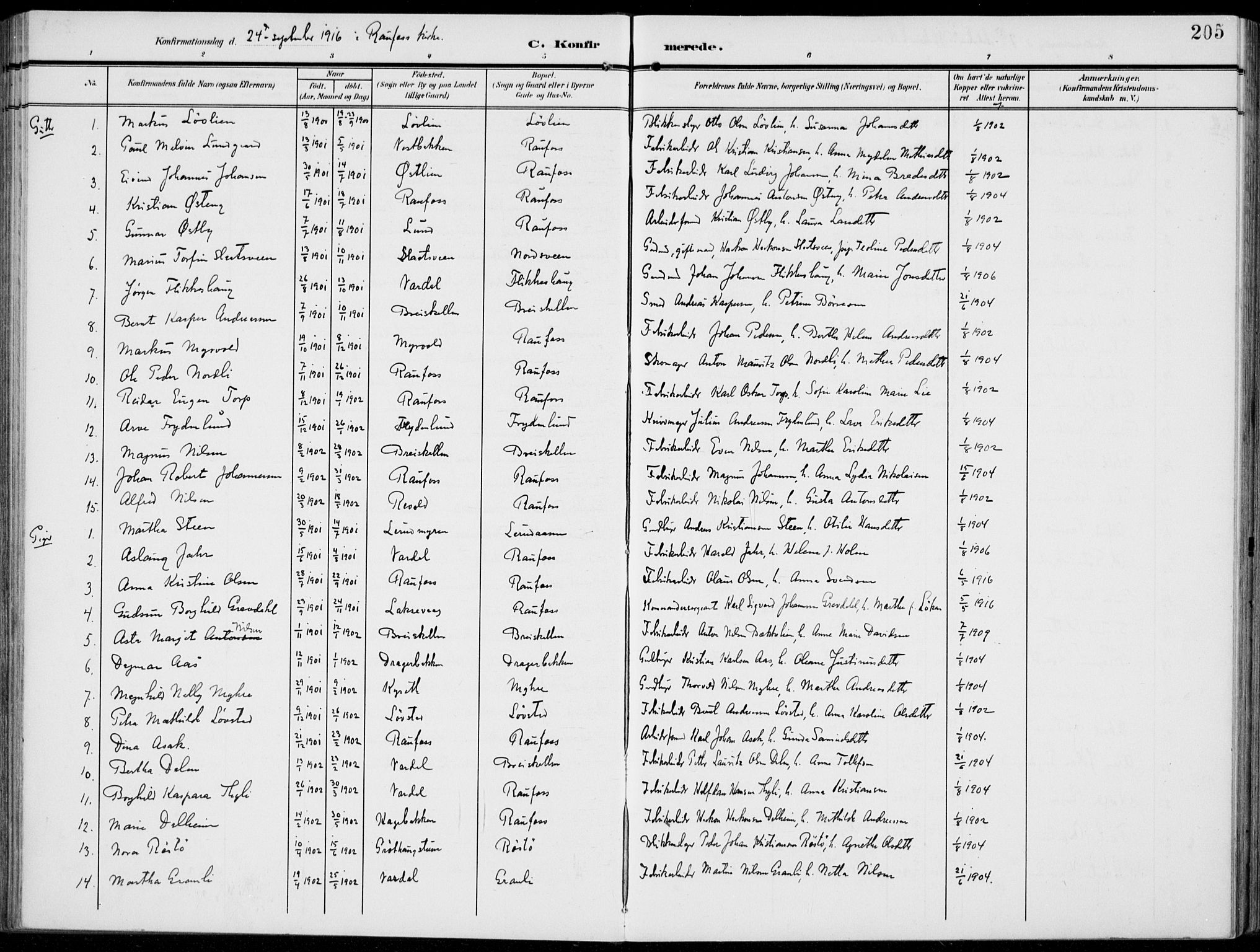 Vestre Toten prestekontor, AV/SAH-PREST-108/H/Ha/Haa/L0014: Parish register (official) no. 14, 1907-1920, p. 205