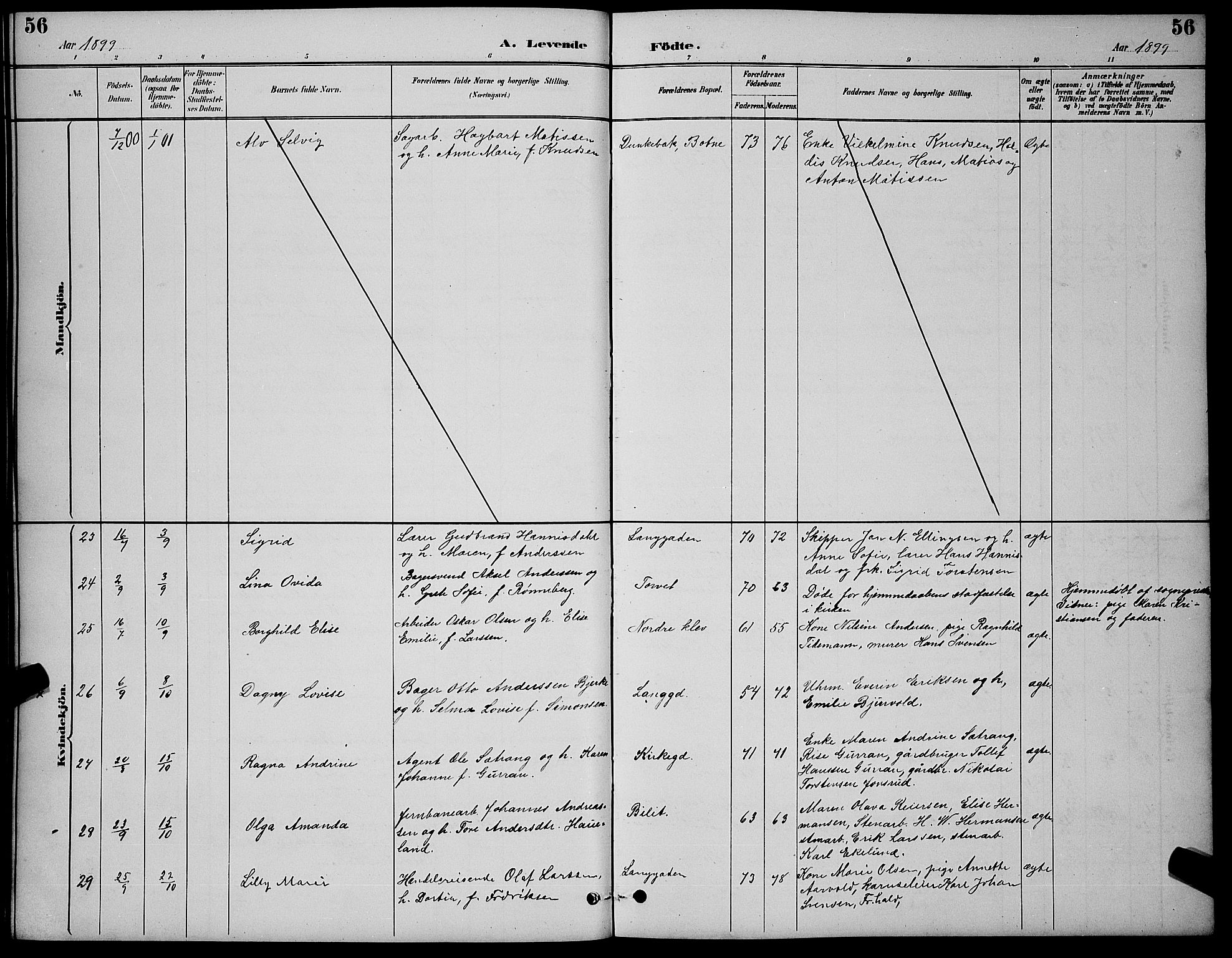 Holmestrand kirkebøker, AV/SAKO-A-346/G/Ga/L0005: Parish register (copy) no. 5, 1889-1901, p. 56