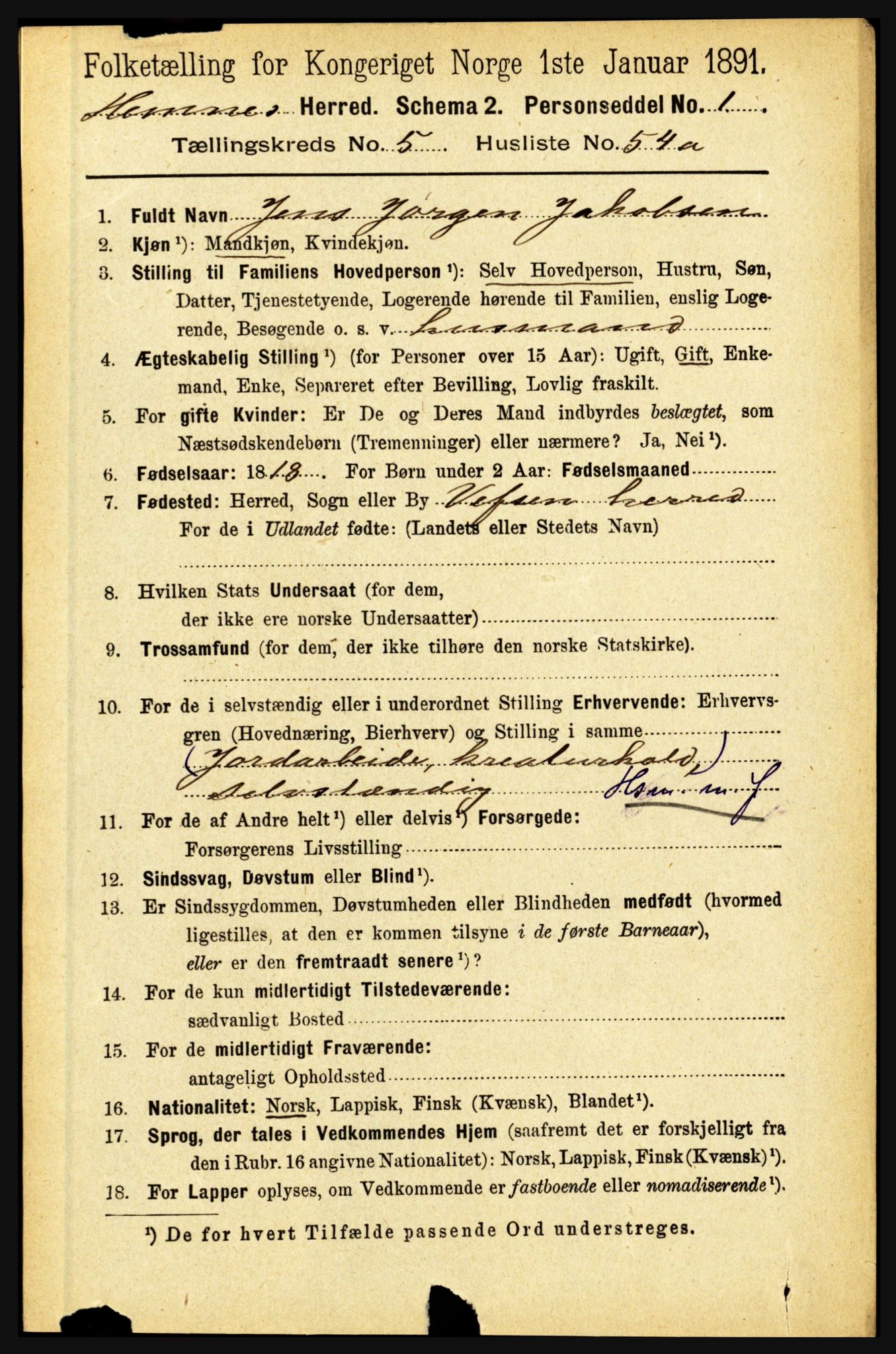 RA, 1891 census for 1832 Hemnes, 1891, p. 2885