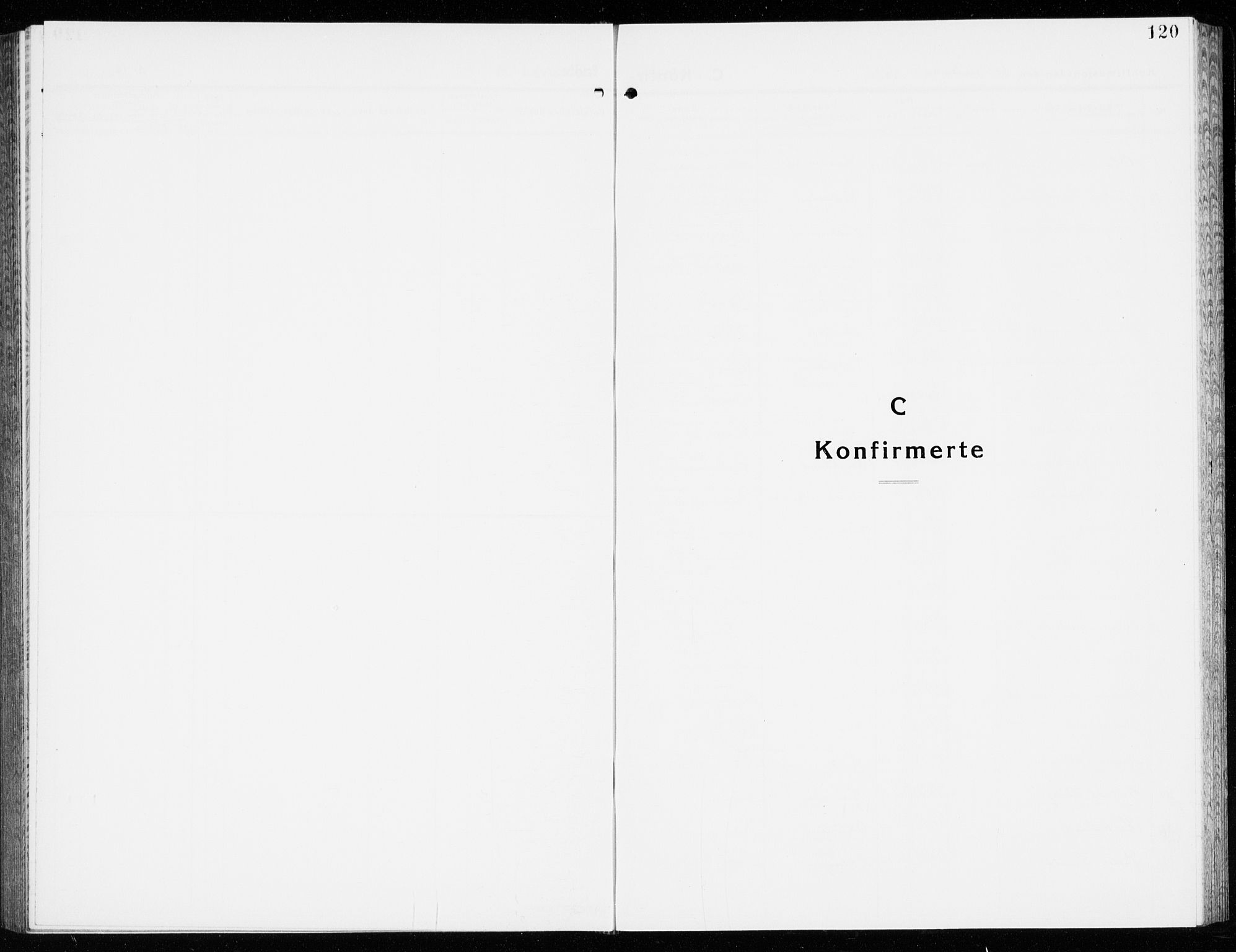 Eidanger kirkebøker, SAKO/A-261/G/Ga/L0005: Parish register (copy) no. 5, 1928-1942, p. 120