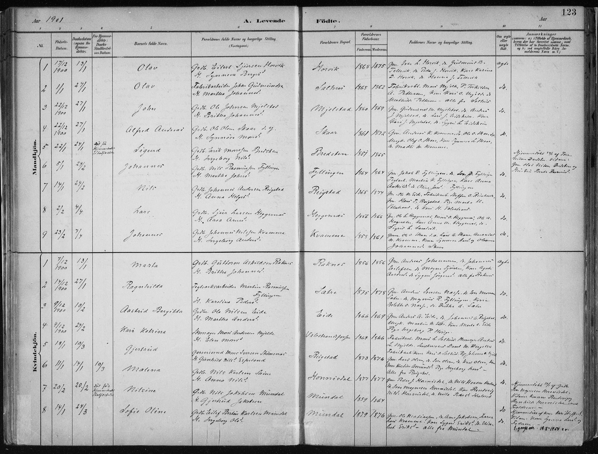 Hamre sokneprestembete, SAB/A-75501/H/Ha/Haa/Haab/L0001: Parish register (official) no. B  1, 1882-1905, p. 123