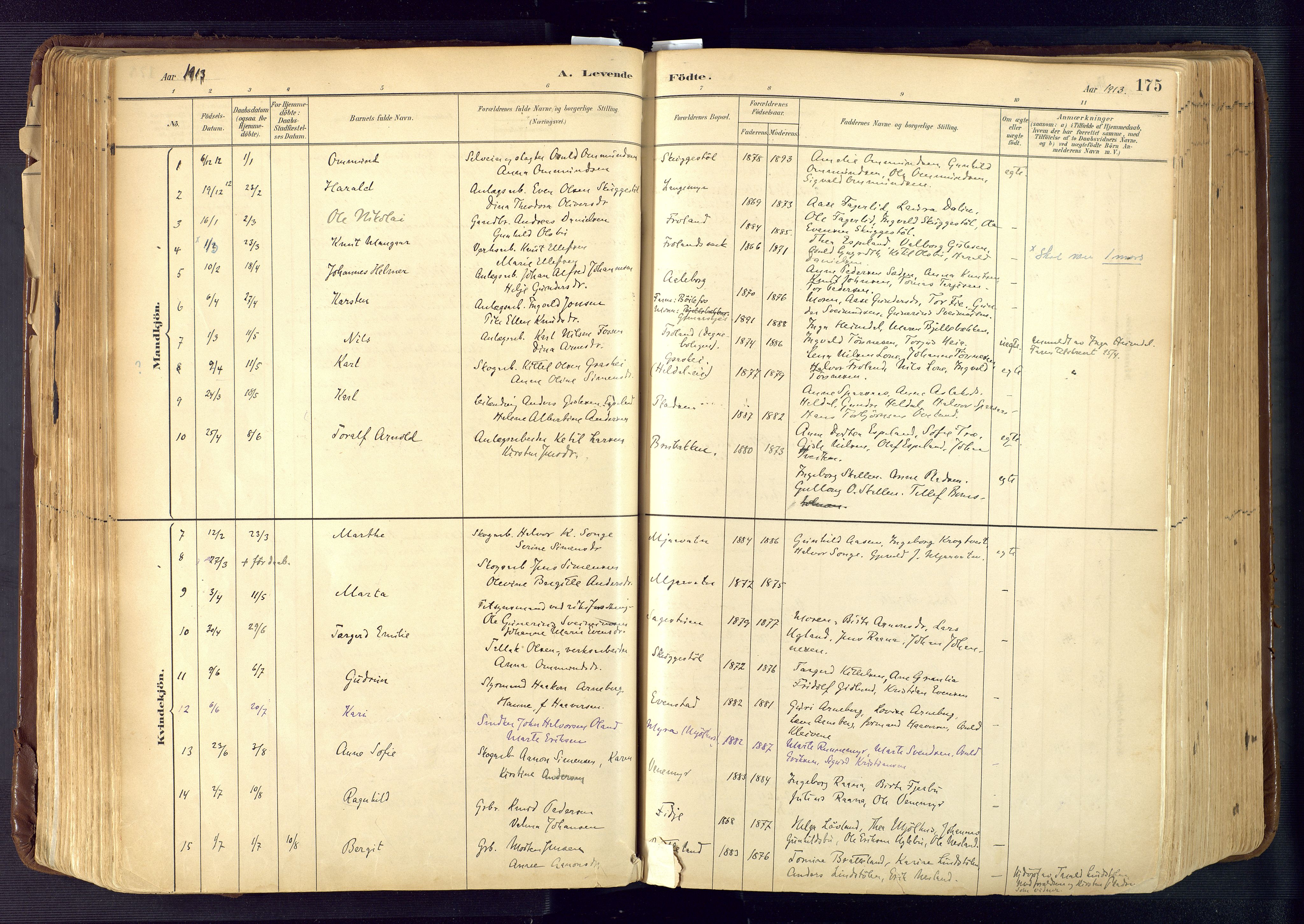 Froland sokneprestkontor, SAK/1111-0013/F/Fa/L0005: Parish register (official) no. A 5, 1882-1921, p. 175