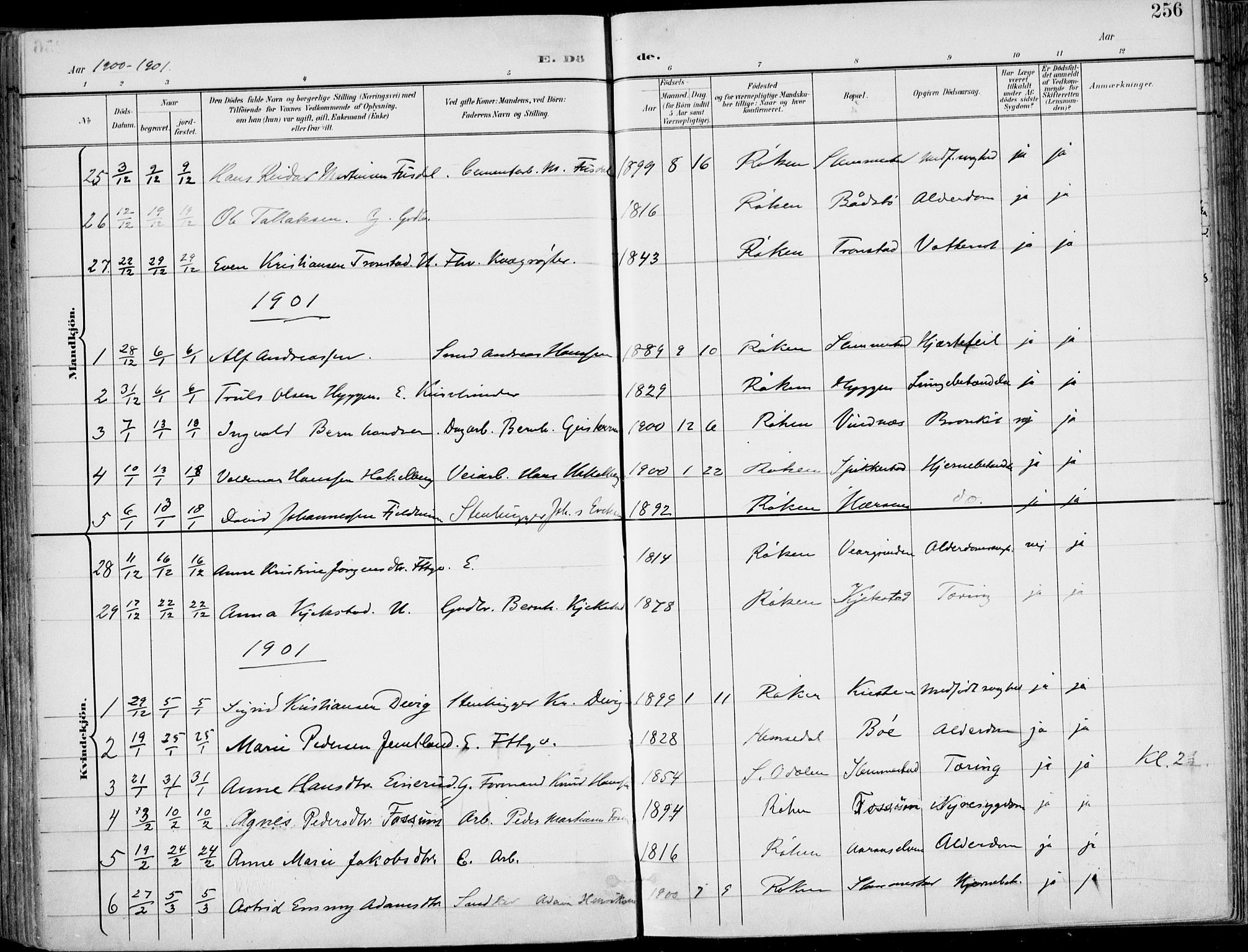 Røyken kirkebøker, AV/SAKO-A-241/F/Fa/L0009: Parish register (official) no. 9, 1898-1911, p. 256