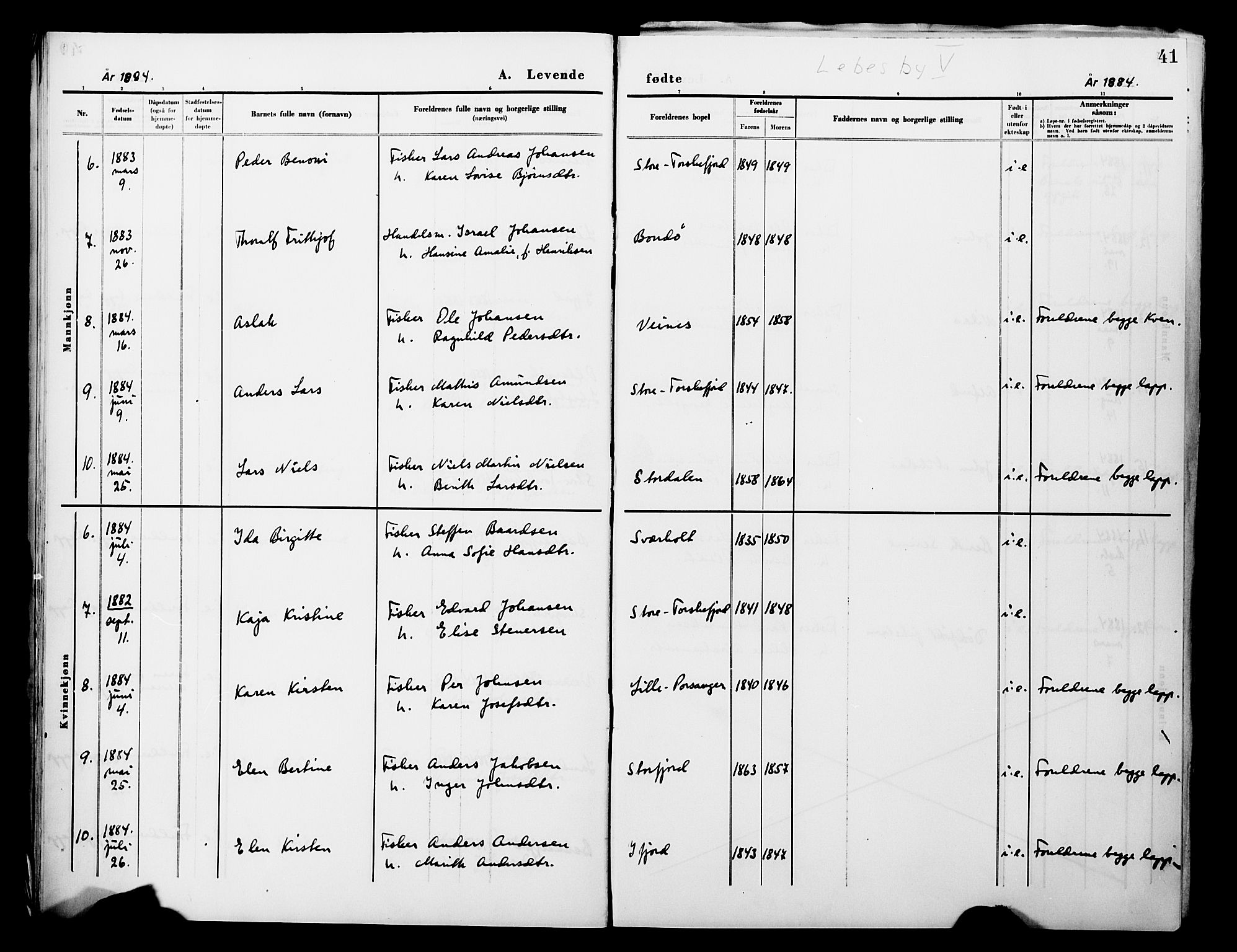 Lebesby sokneprestkontor, SATØ/S-1353/H/Ha/L0004kirke: Parish register (official) no. 4, 1870-1902, p. 41