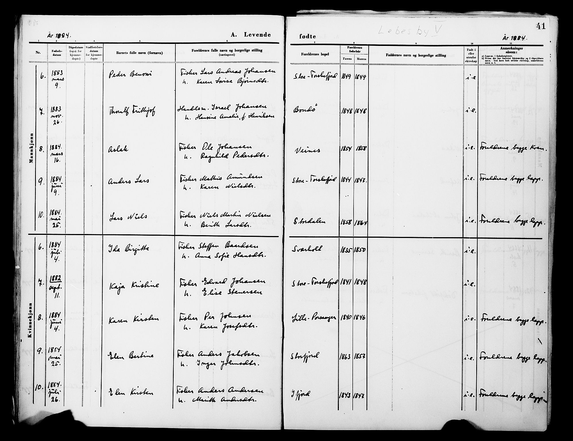 Lebesby sokneprestkontor, AV/SATØ-S-1353/H/Ha/L0004kirke: Parish register (official) no. 4, 1870-1902, p. 41