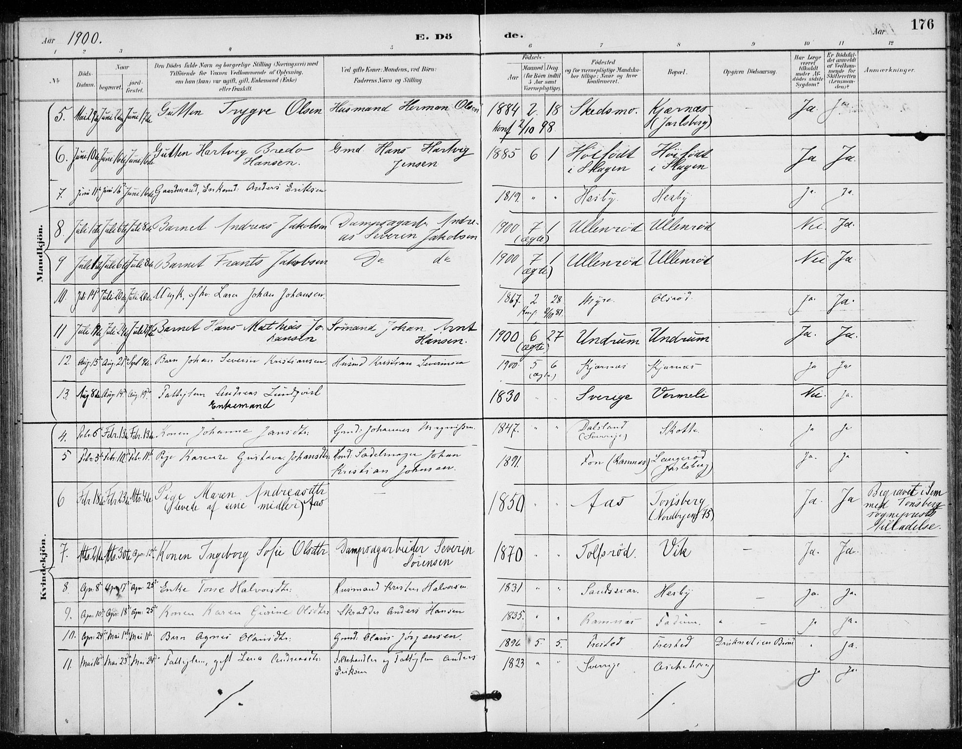 Sem kirkebøker, AV/SAKO-A-5/F/Fa/L0011: Parish register (official) no. I 11, 1888-1904, p. 176