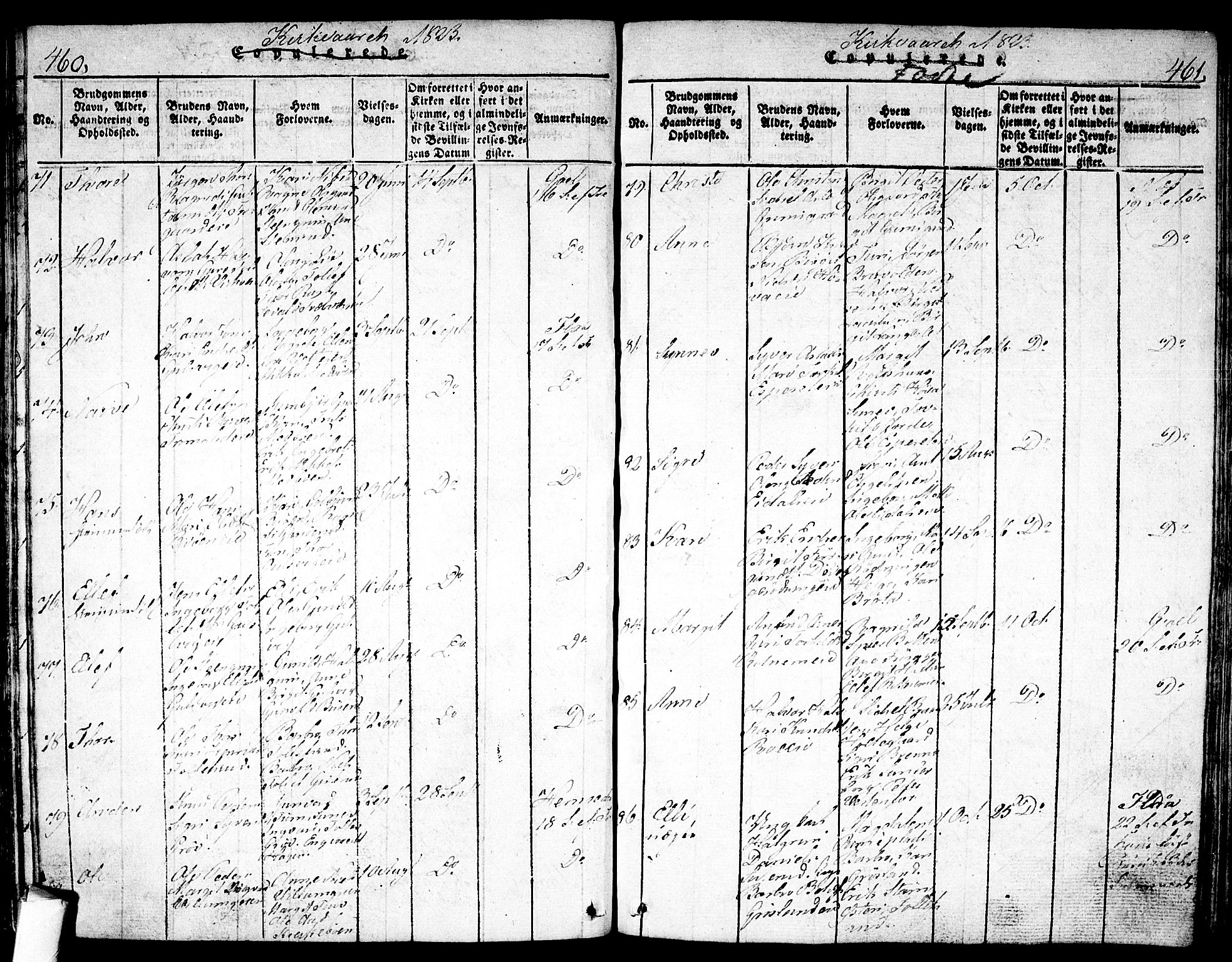 Nes kirkebøker, AV/SAKO-A-236/F/Fa/L0007: Parish register (official) no. 7, 1815-1823, p. 460-461