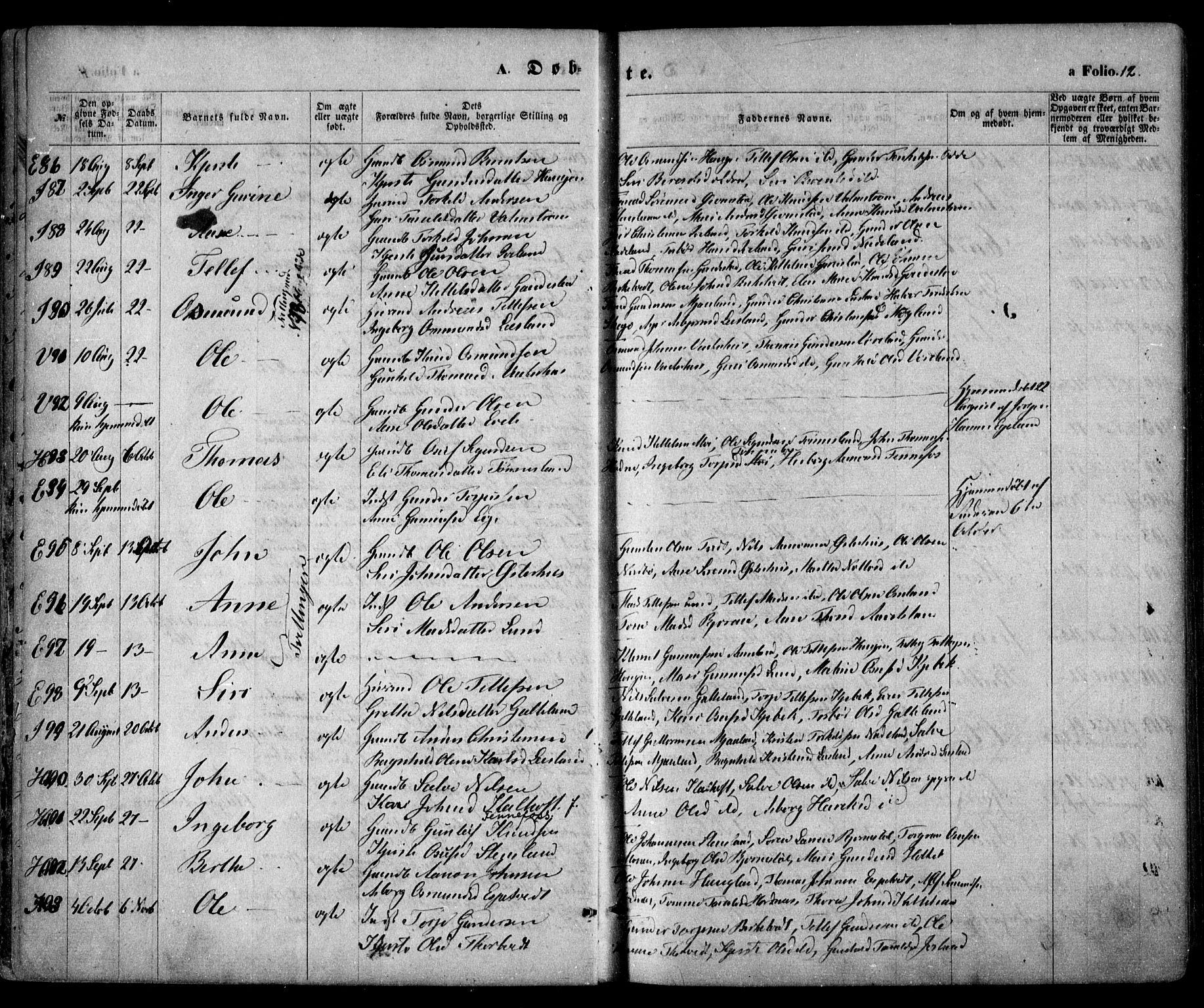 Evje sokneprestkontor, AV/SAK-1111-0008/F/Fa/Faa/L0006: Parish register (official) no. A 6, 1866-1884, p. 12