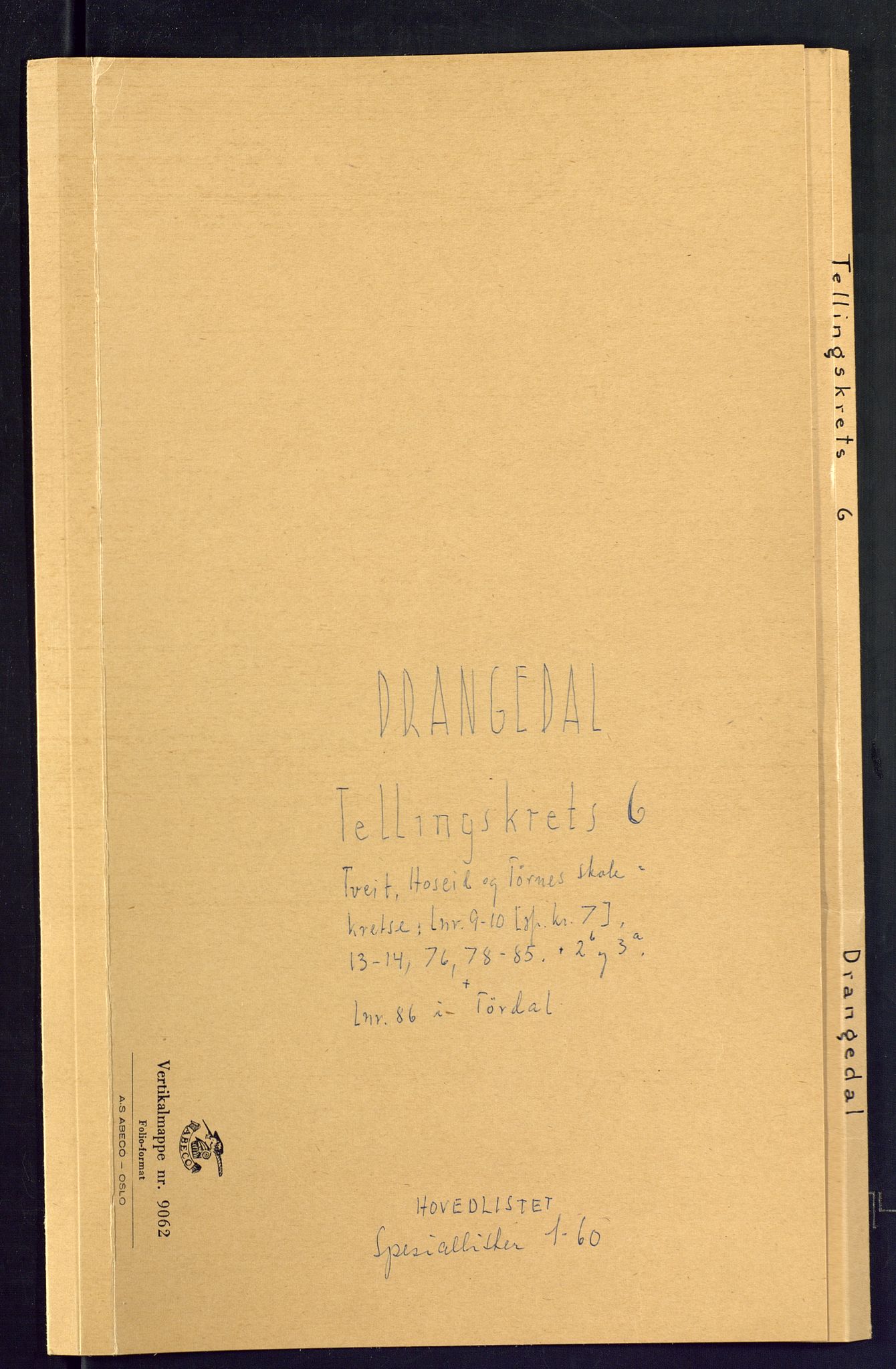 SAKO, 1875 census for 0817P Drangedal, 1875, p. 21