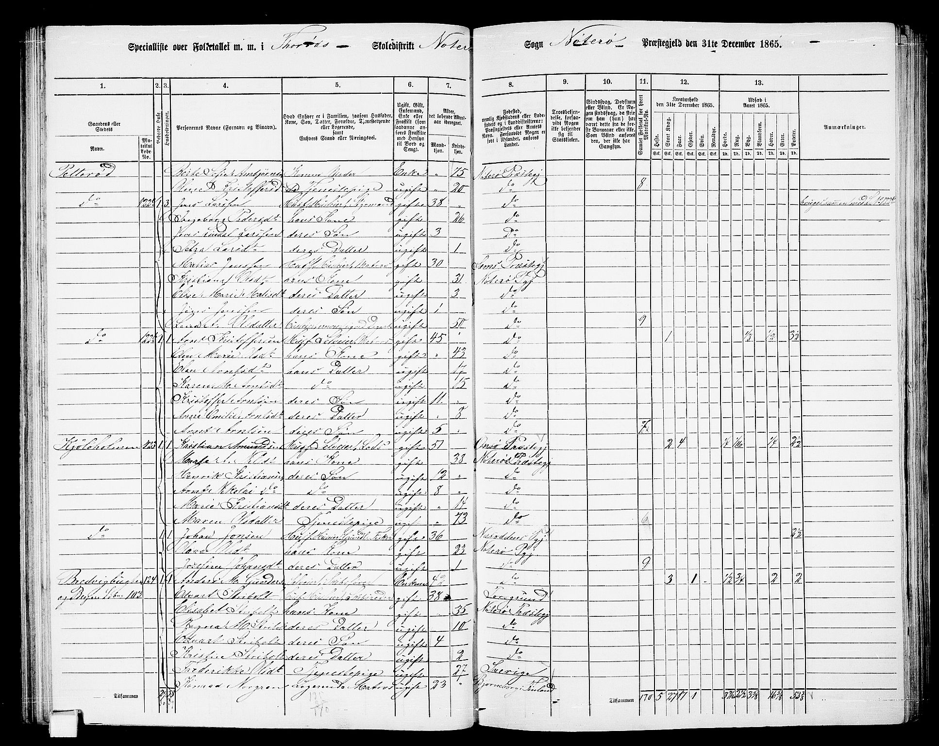 RA, 1865 census for Nøtterøy, 1865, p. 97