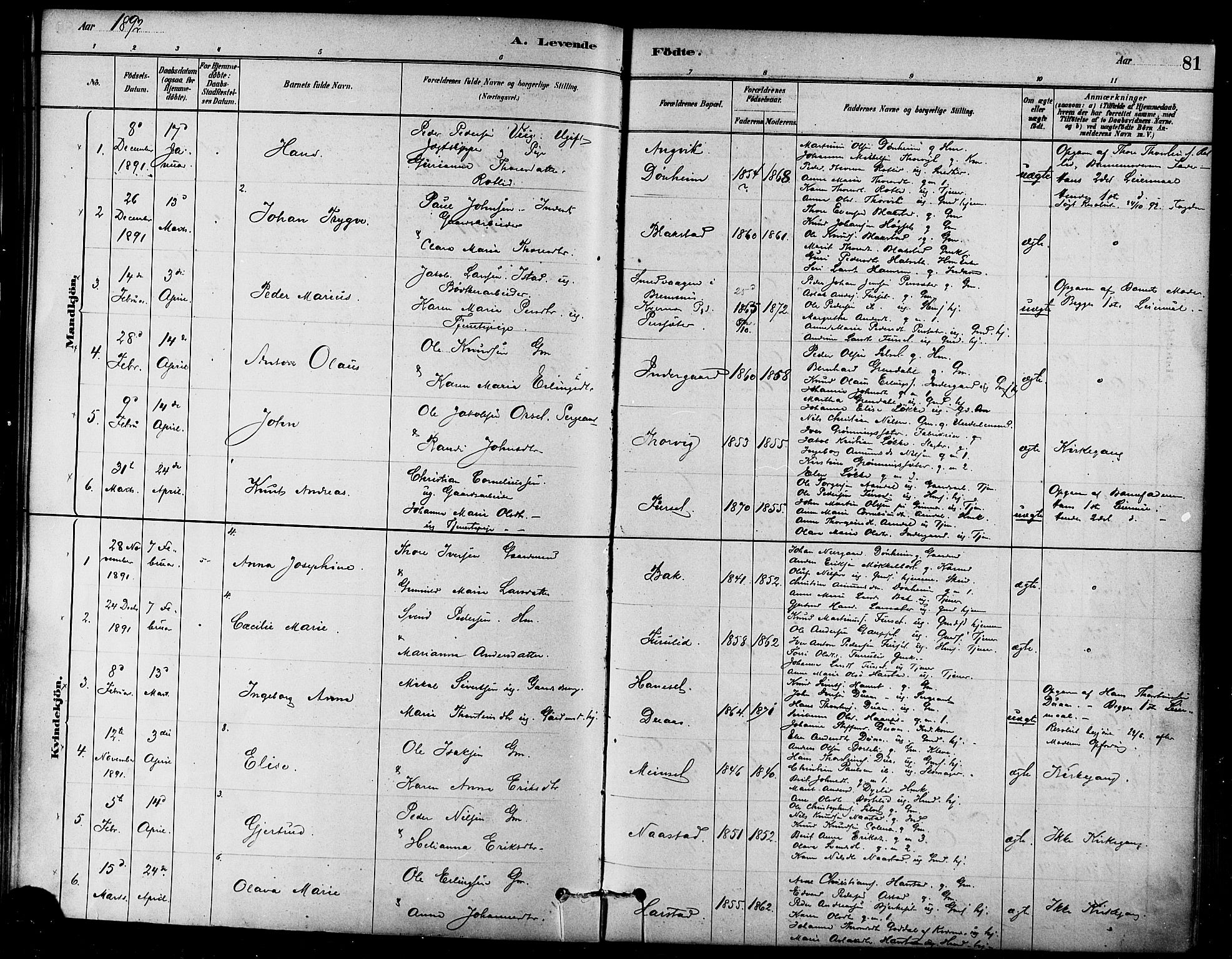 Ministerialprotokoller, klokkerbøker og fødselsregistre - Møre og Romsdal, SAT/A-1454/584/L0967: Parish register (official) no. 584A07, 1879-1894, p. 81