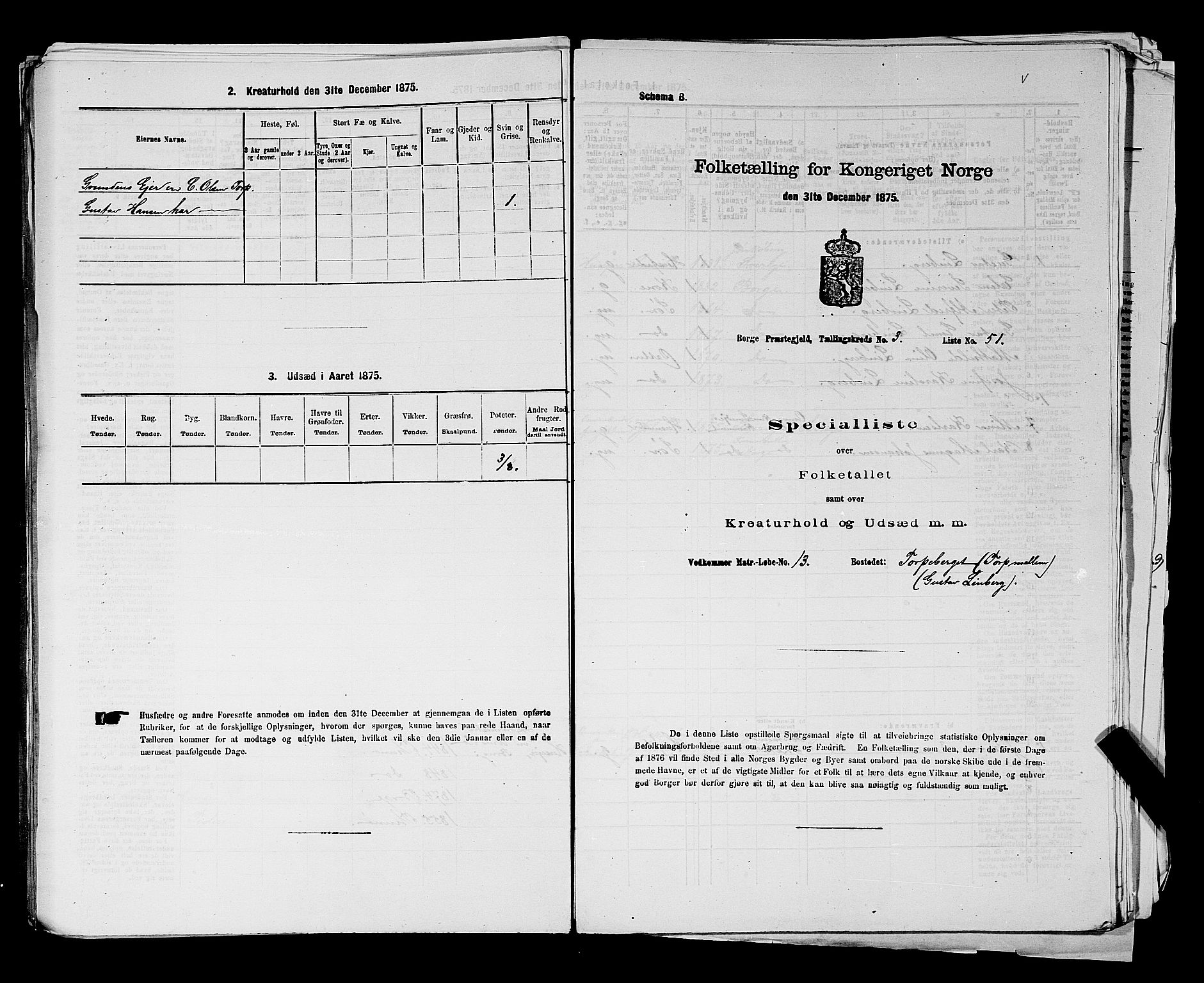 RA, 1875 census for 0113P Borge, 1875, p. 492