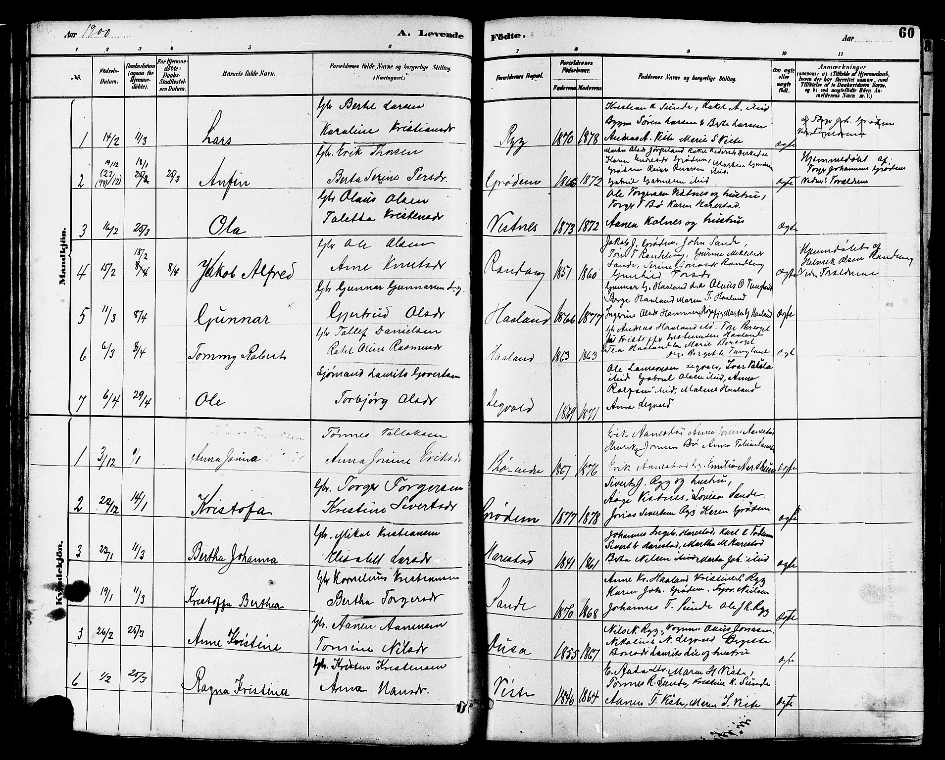 Hetland sokneprestkontor, SAST/A-101826/30/30BB/L0006: Parish register (copy) no. B 6, 1878-1921, p. 60