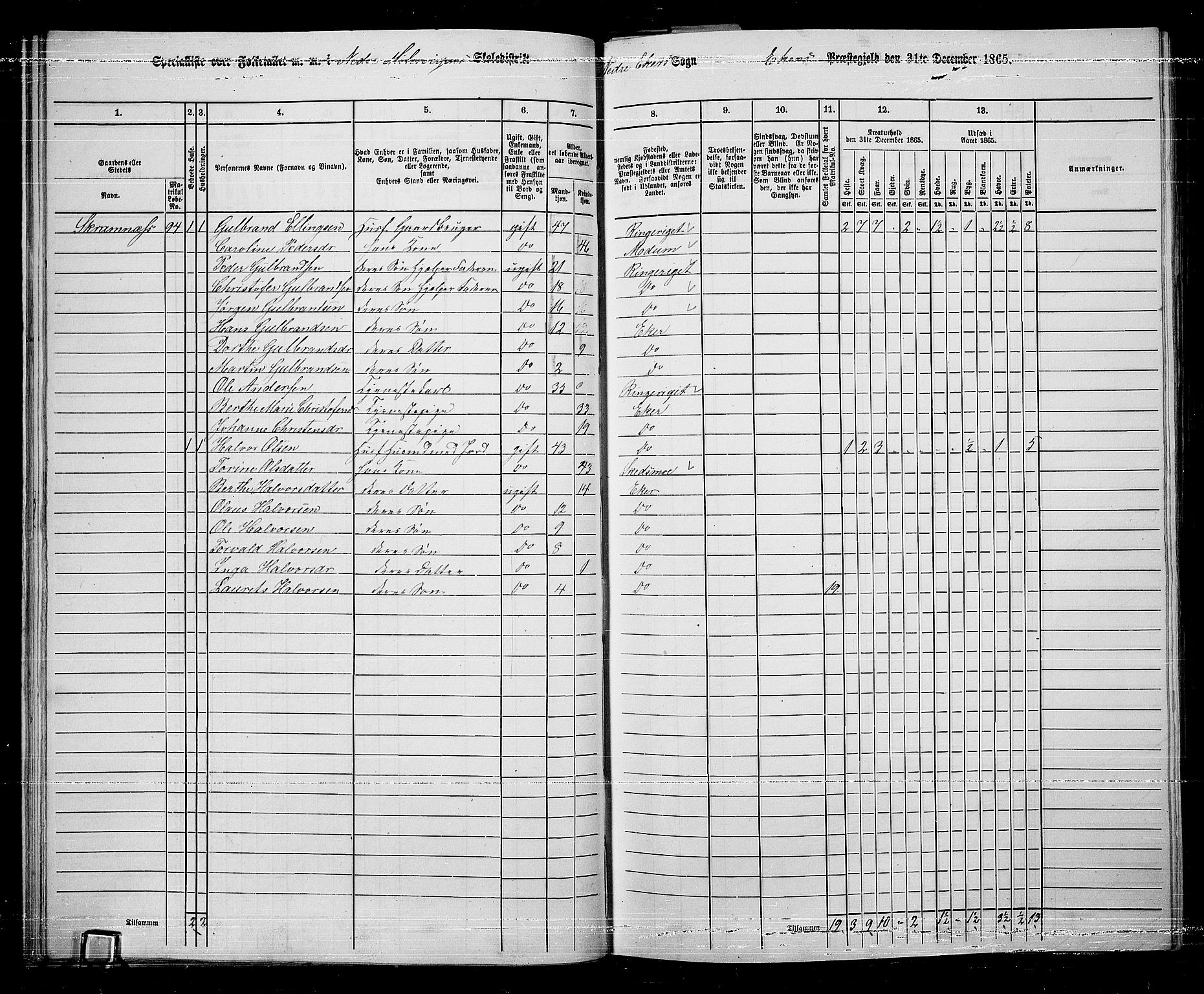 RA, 1865 census for Eiker, 1865, p. 311