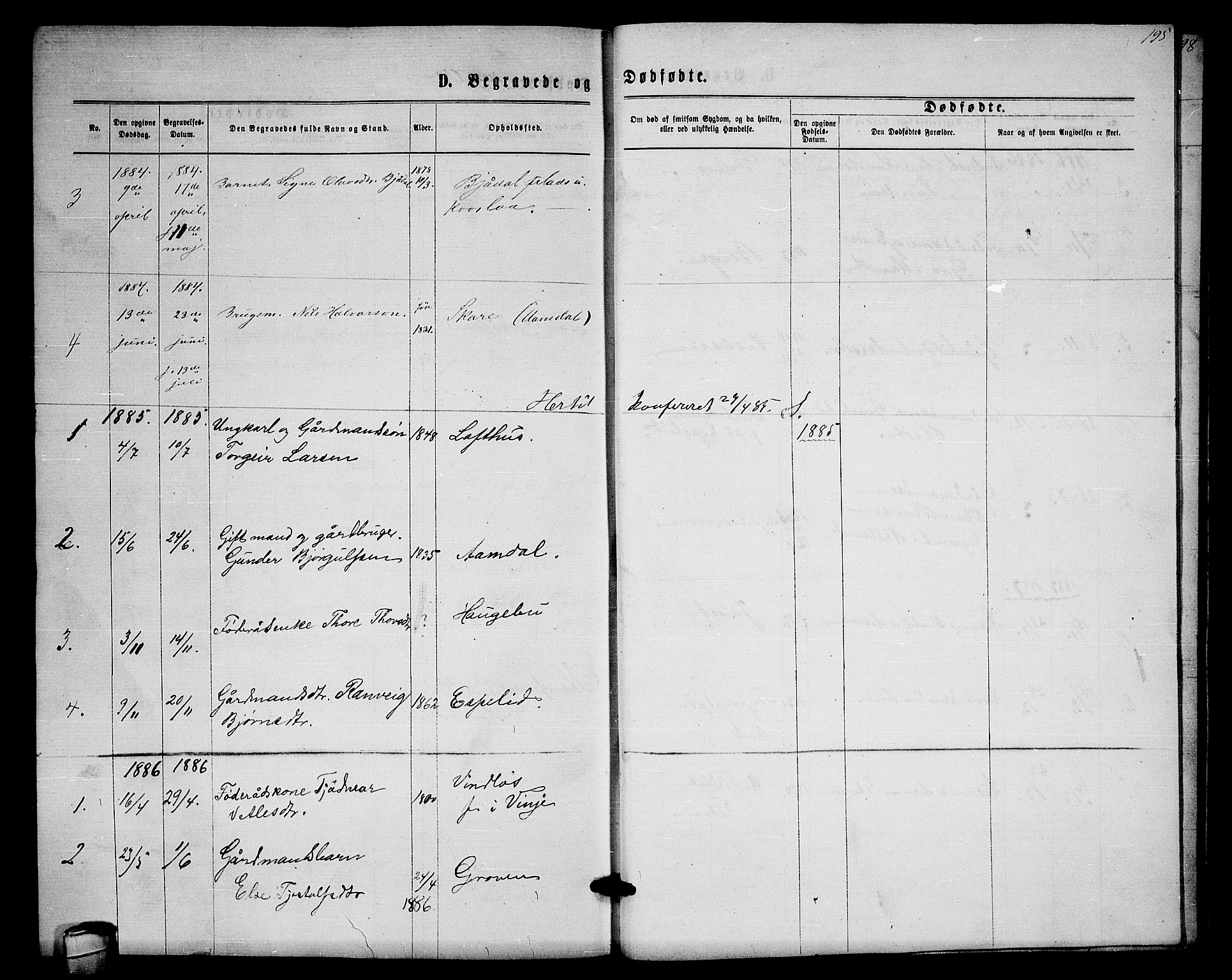 Lårdal kirkebøker, SAKO/A-284/G/Gb/L0002: Parish register (copy) no. II 2, 1865-1888, p. 195