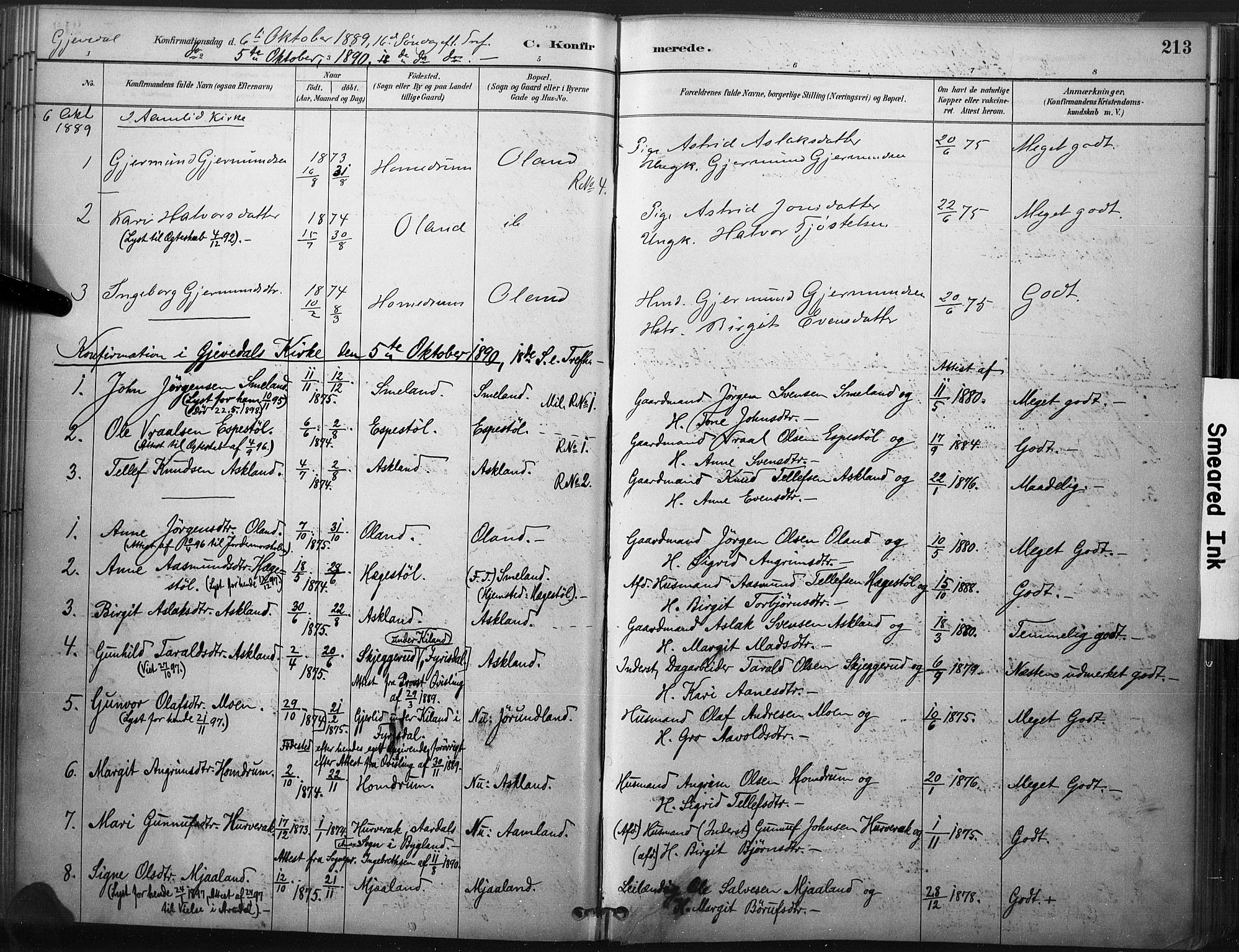 Åmli sokneprestkontor, AV/SAK-1111-0050/F/Fa/Fac/L0010: Parish register (official) no. A 10 /2, 1885-1899, p. 213