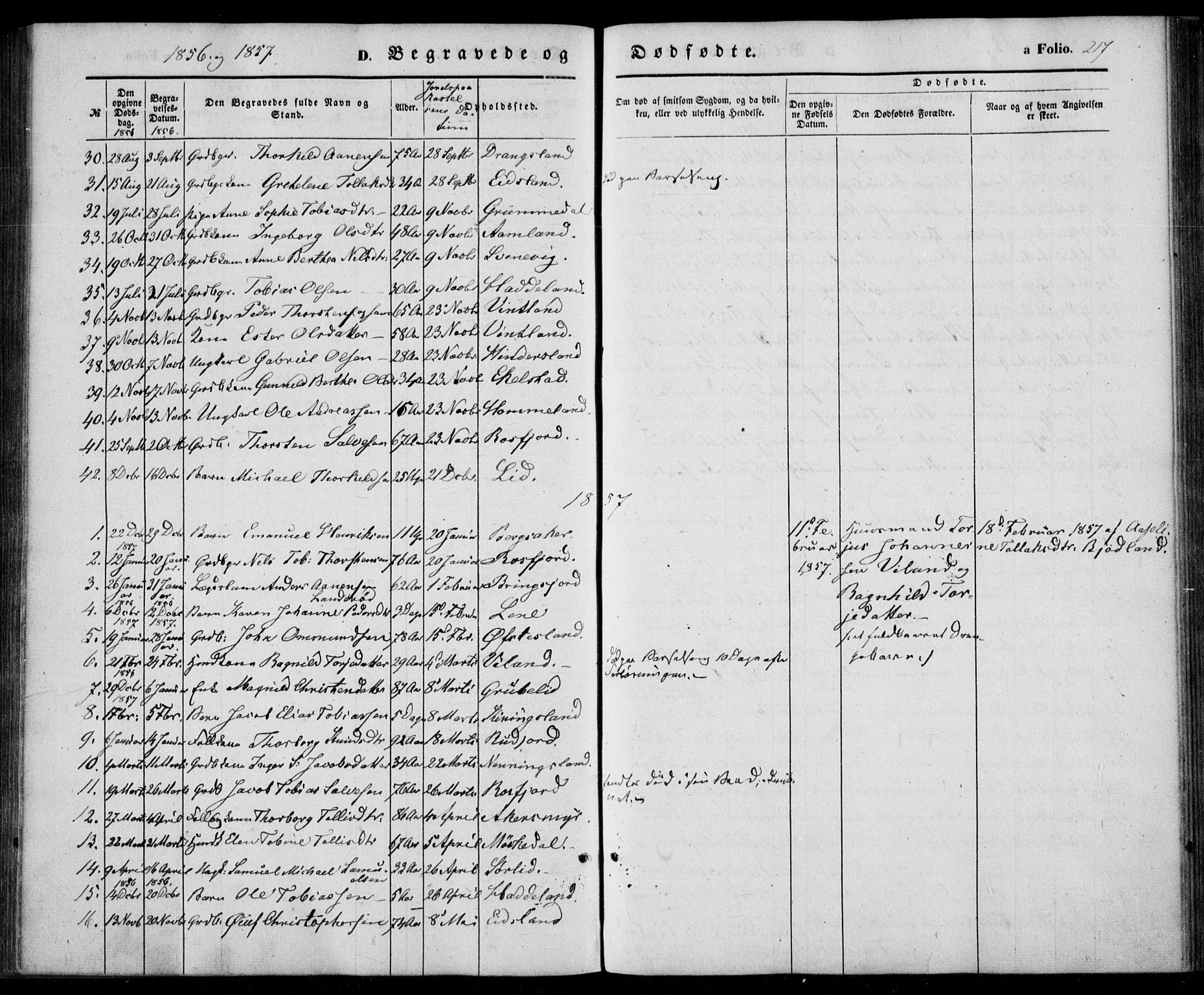 Lyngdal sokneprestkontor, SAK/1111-0029/F/Fa/Fac/L0009: Parish register (official) no. A 9, 1852-1864, p. 217