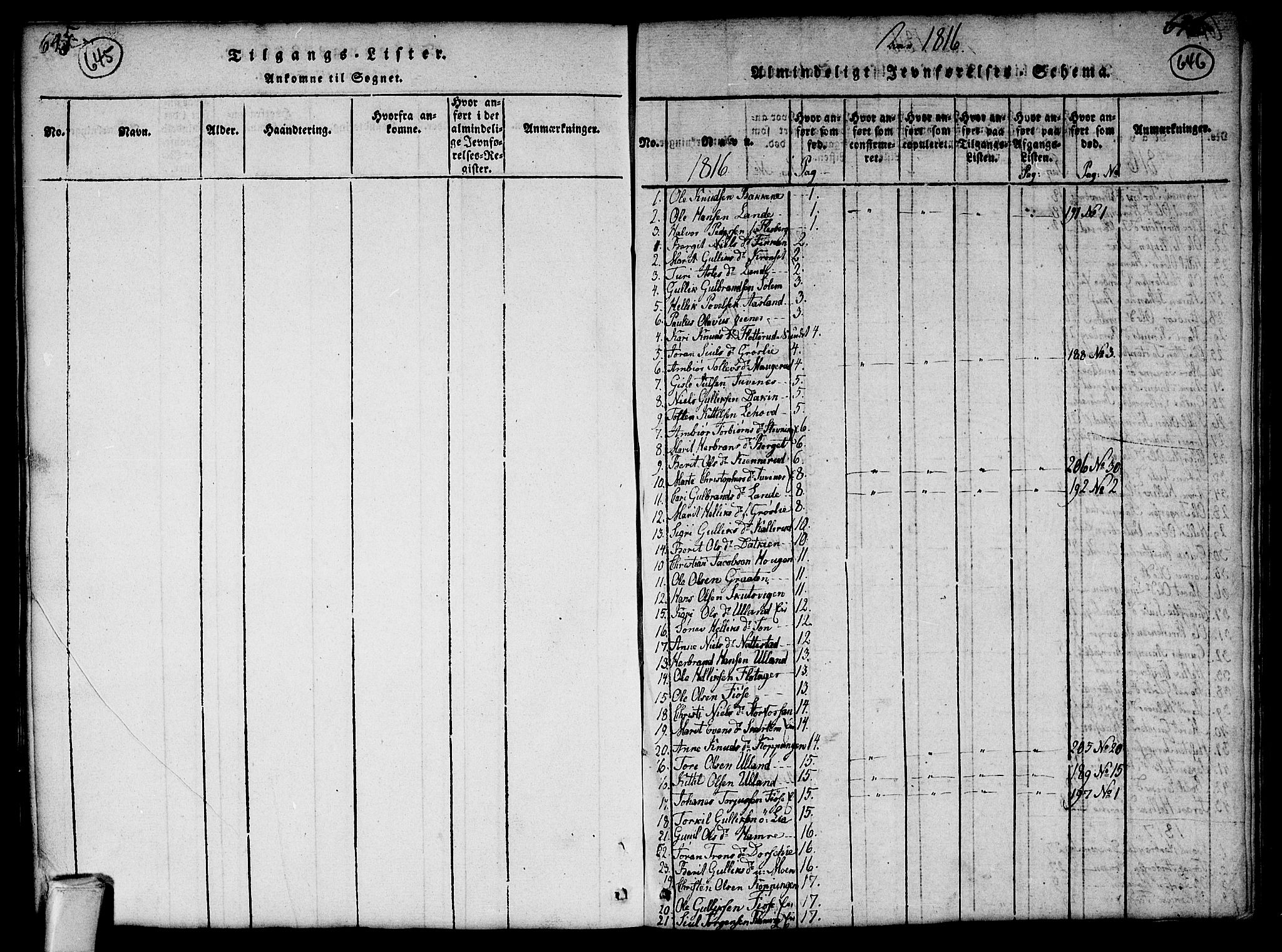 Flesberg kirkebøker, AV/SAKO-A-18/G/Ga/L0001: Parish register (copy) no. I 1, 1816-1834, p. 645-646