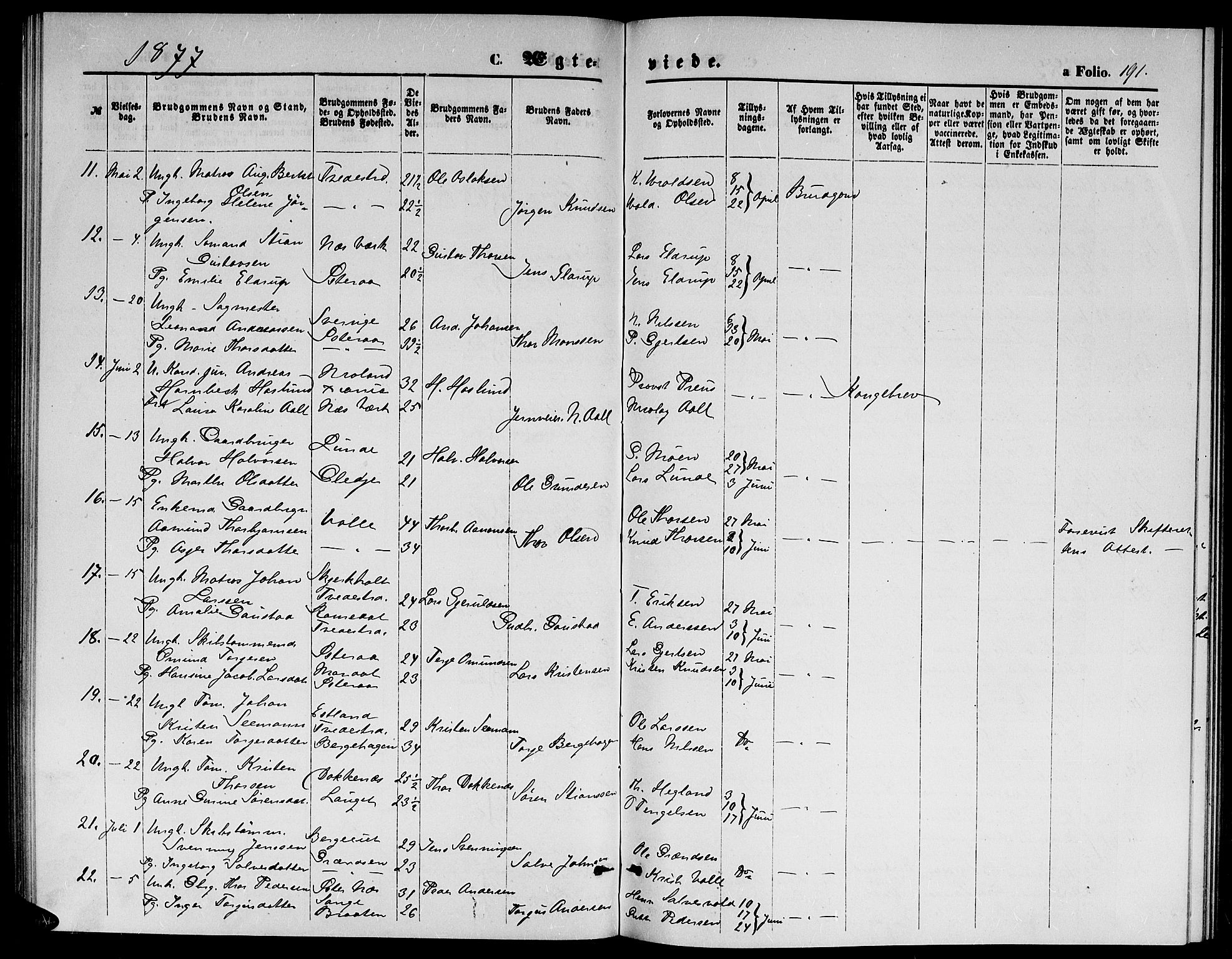 Holt sokneprestkontor, SAK/1111-0021/F/Fb/L0009: Parish register (copy) no. B 9, 1871-1883, p. 191