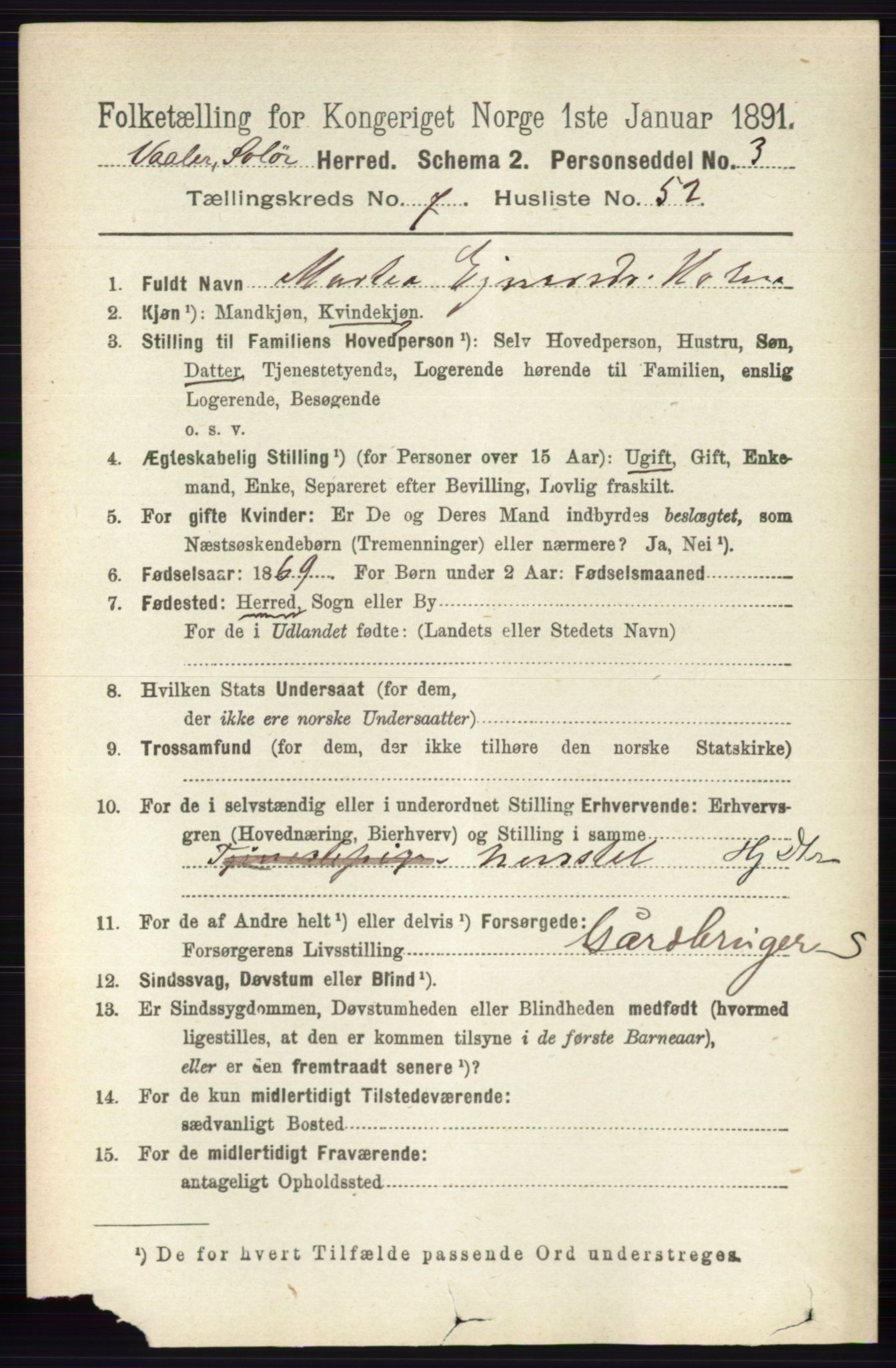 RA, 1891 census for 0426 Våler, 1891, p. 3243