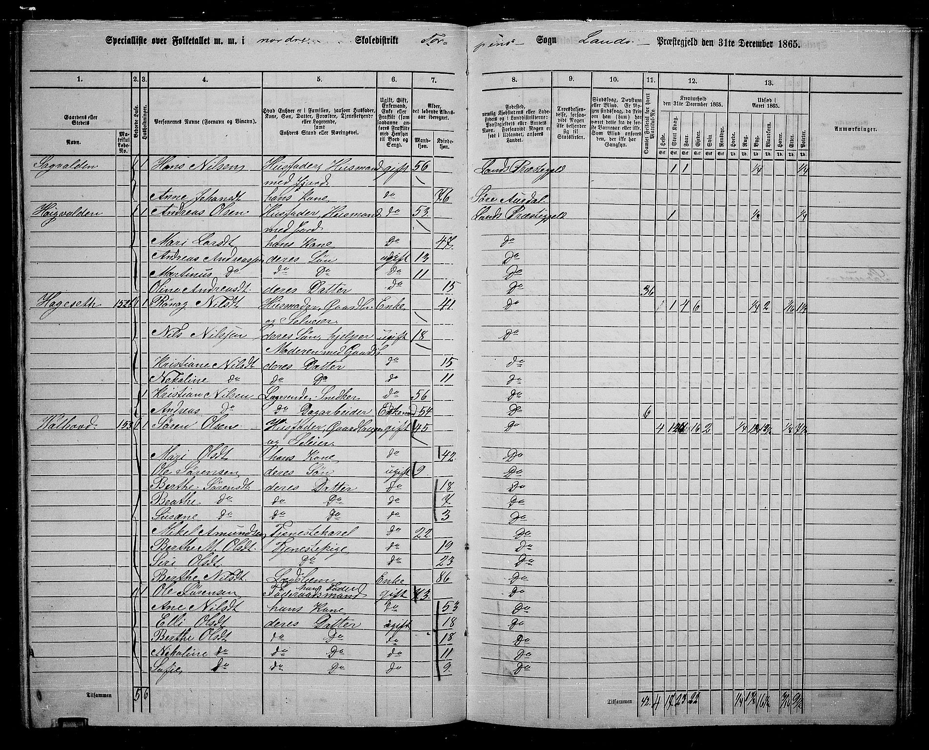 RA, 1865 census for Land, 1865, p. 127