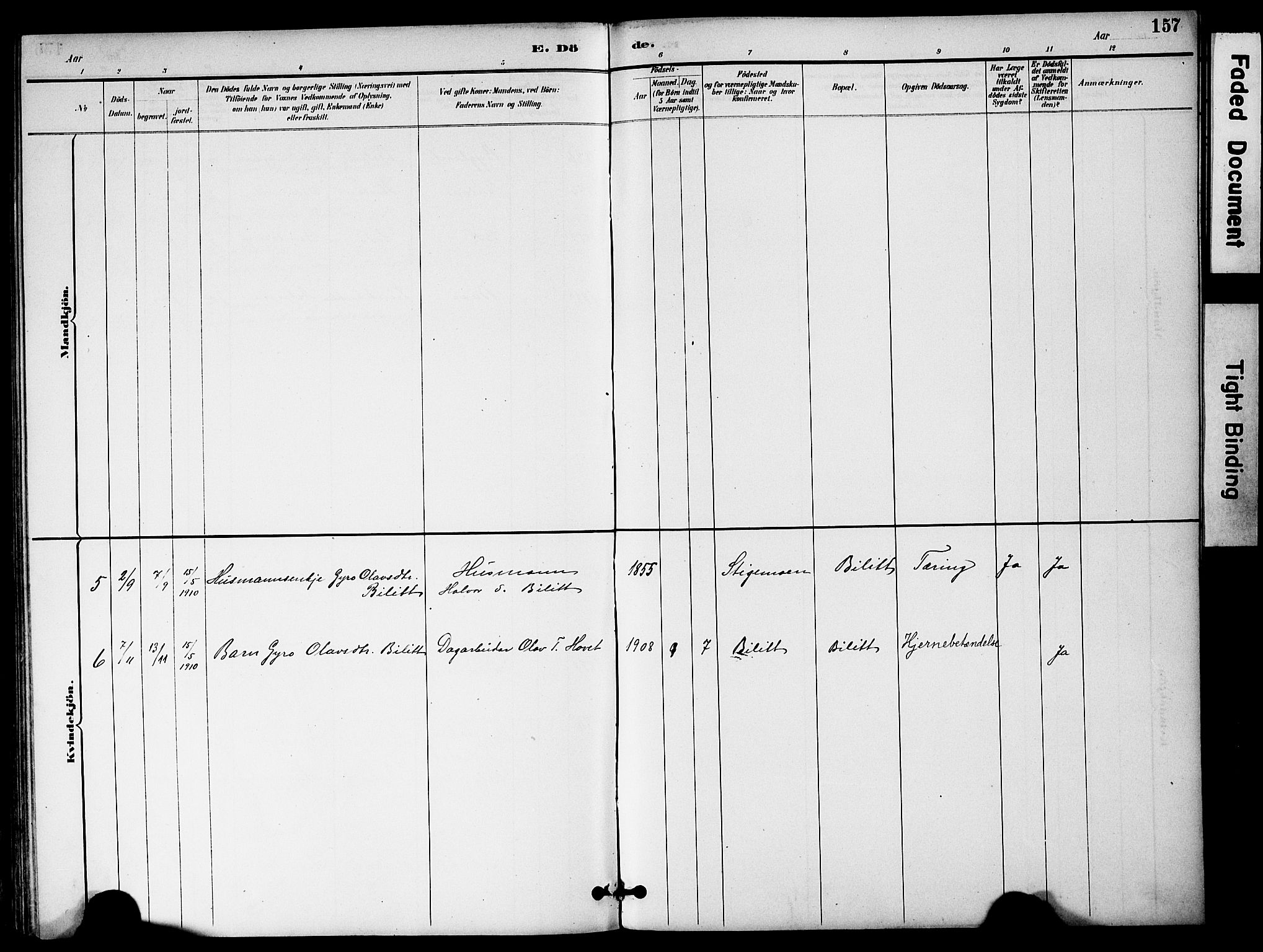 Bygland sokneprestkontor, AV/SAK-1111-0006/F/Fa/Fab/L0007: Parish register (official) no. A 7, 1885-1909, p. 157