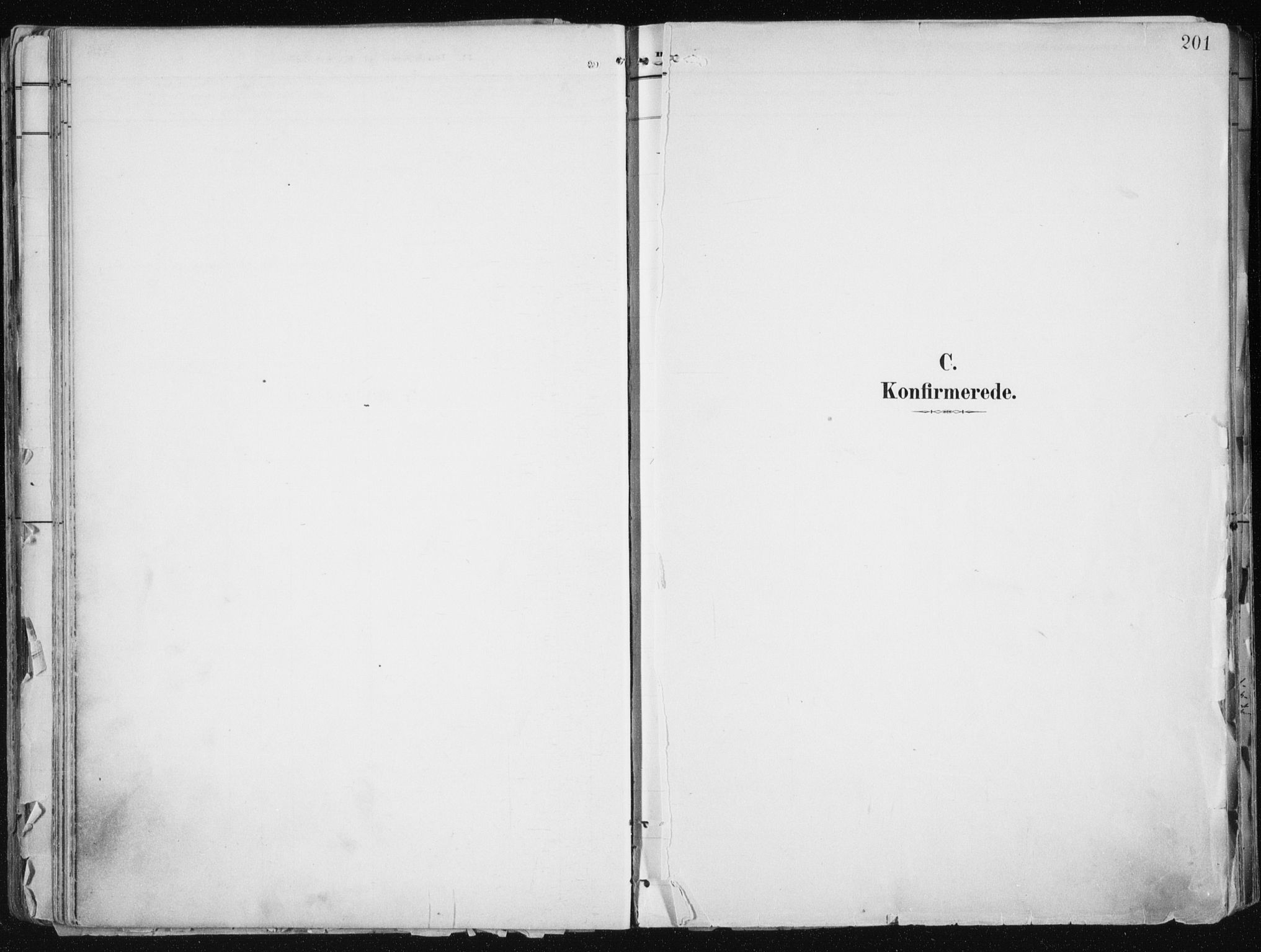 Tromsø sokneprestkontor/stiftsprosti/domprosti, AV/SATØ-S-1343/G/Ga/L0015kirke: Parish register (official) no. 15, 1889-1899, p. 201