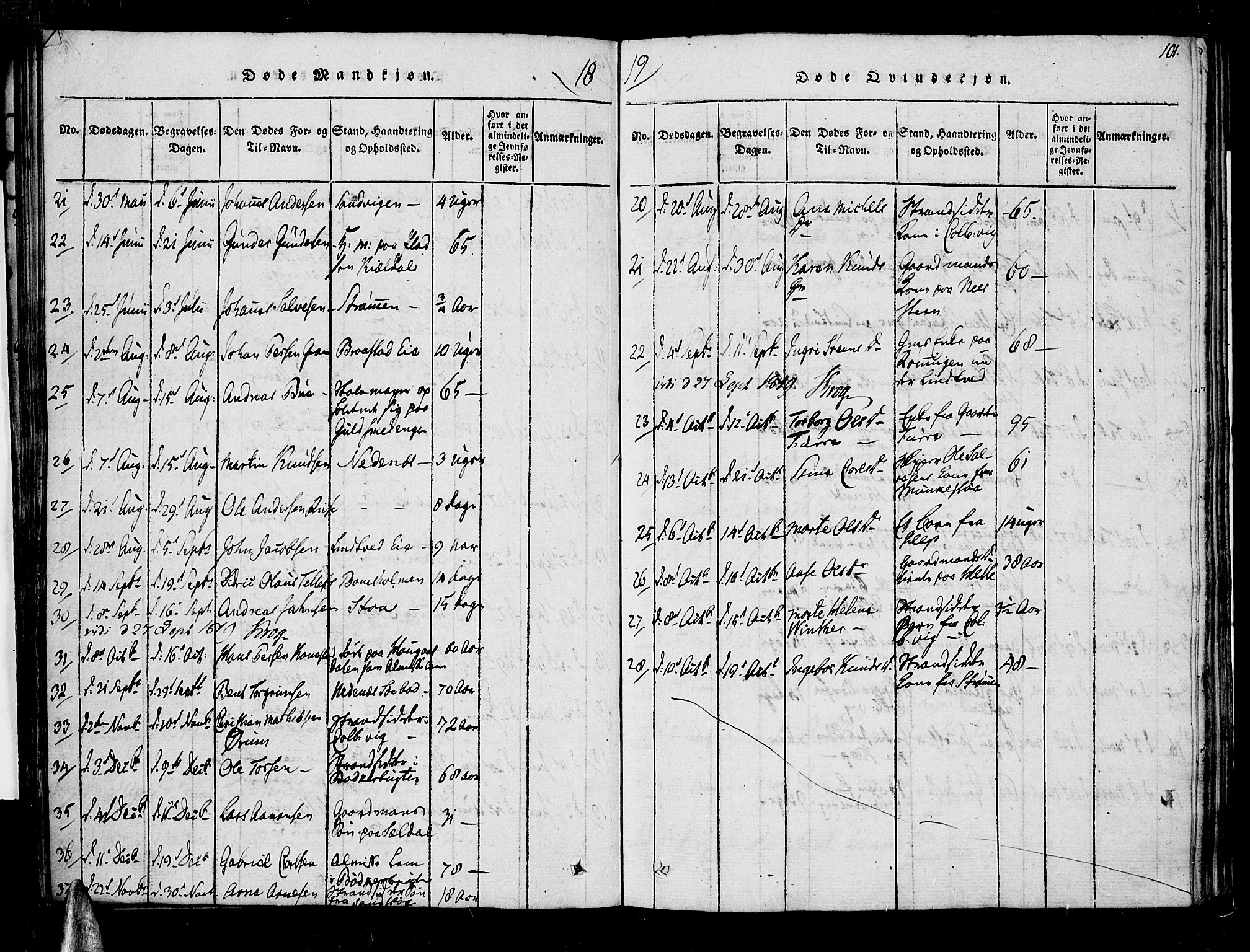 Øyestad sokneprestkontor, SAK/1111-0049/F/Fa/L0012: Parish register (official) no. A 12, 1816-1827, p. 101