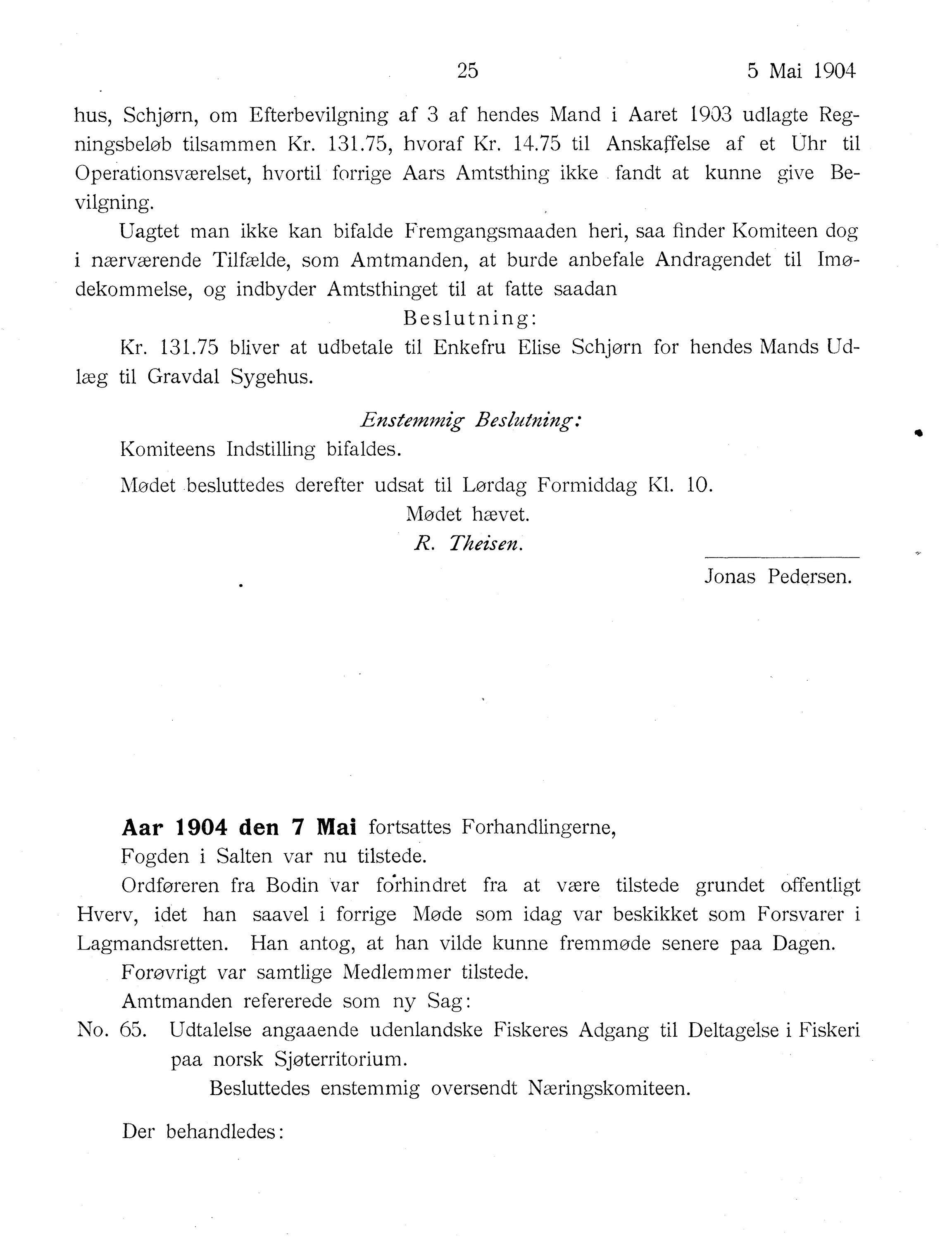 Nordland Fylkeskommune. Fylkestinget, AIN/NFK-17/176/A/Ac/L0027: Fylkestingsforhandlinger 1904, 1904, p. 25