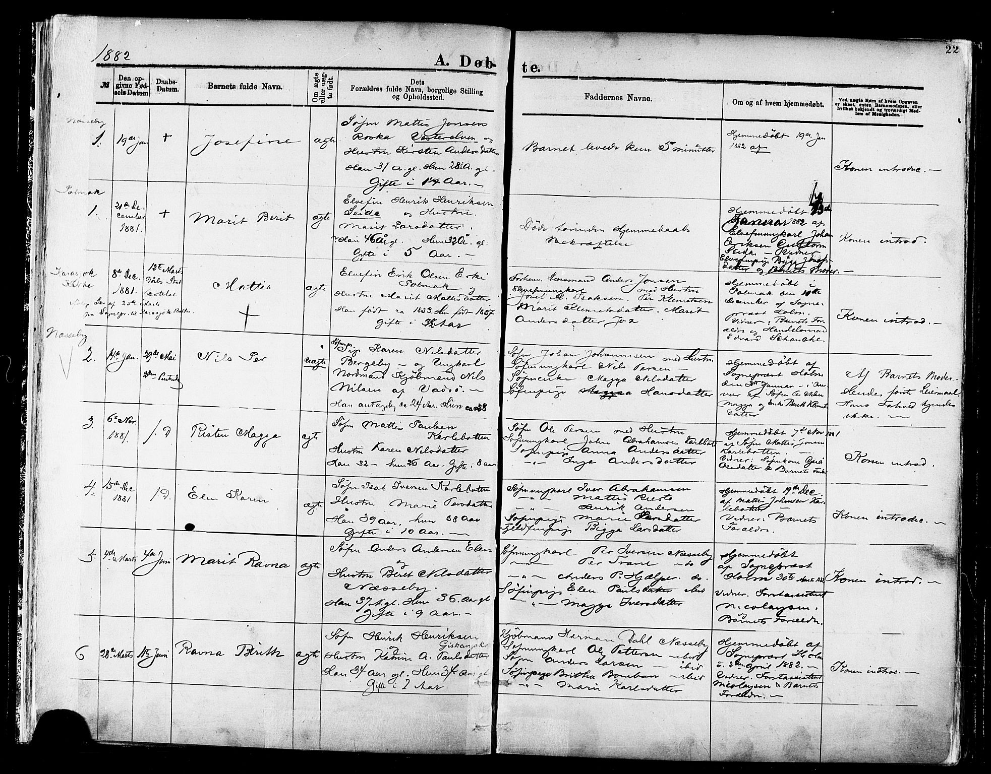 Nesseby sokneprestkontor, AV/SATØ-S-1330/H/Ha/L0004kirke: Parish register (official) no. 4, 1877-1884, p. 22