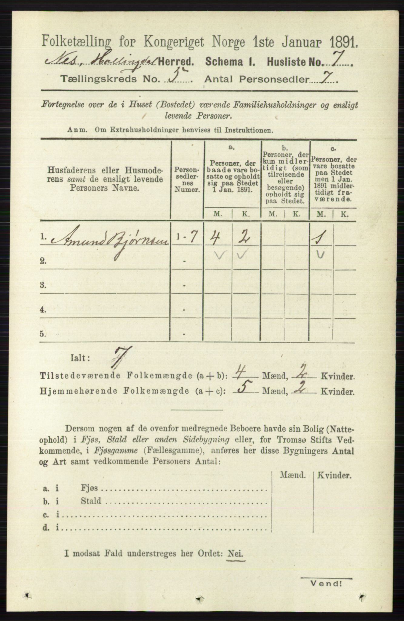 RA, 1891 census for 0616 Nes, 1891, p. 2580