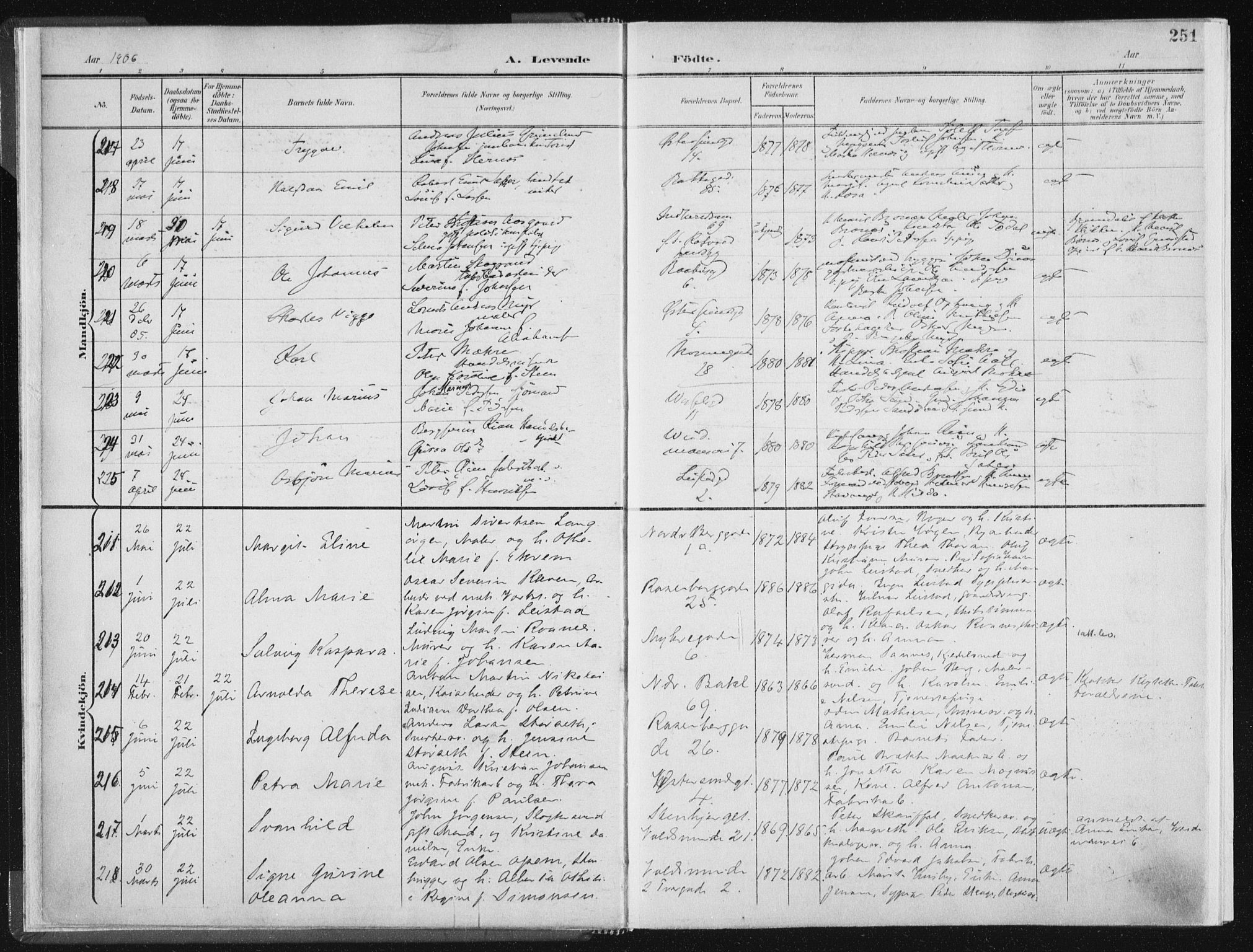 Ministerialprotokoller, klokkerbøker og fødselsregistre - Sør-Trøndelag, AV/SAT-A-1456/604/L0200: Parish register (official) no. 604A20II, 1901-1908, p. 251