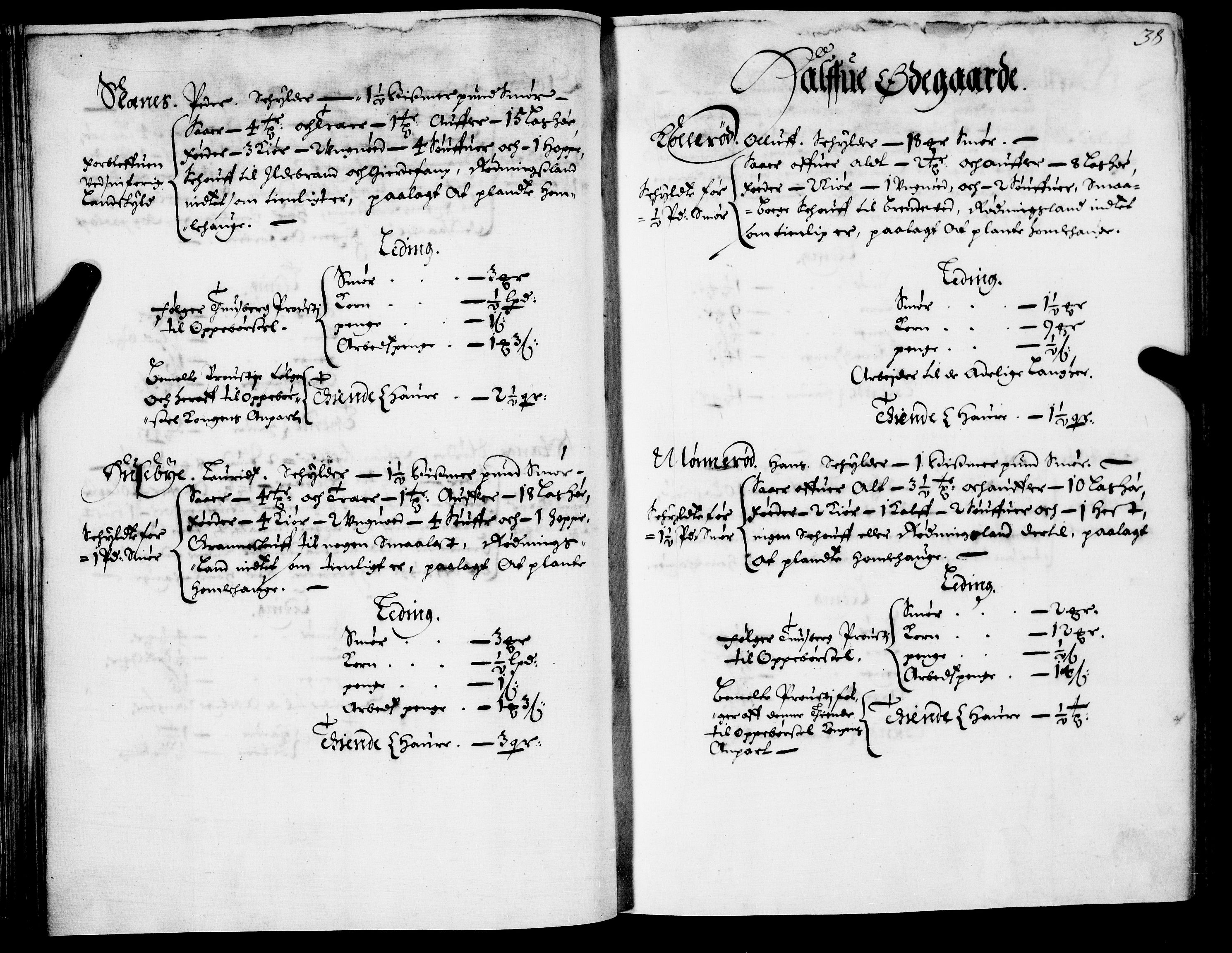 Rentekammeret inntil 1814, Realistisk ordnet avdeling, AV/RA-EA-4070/N/Nb/Nba/L0021: Brunla len, 1667, p. 37b-38a