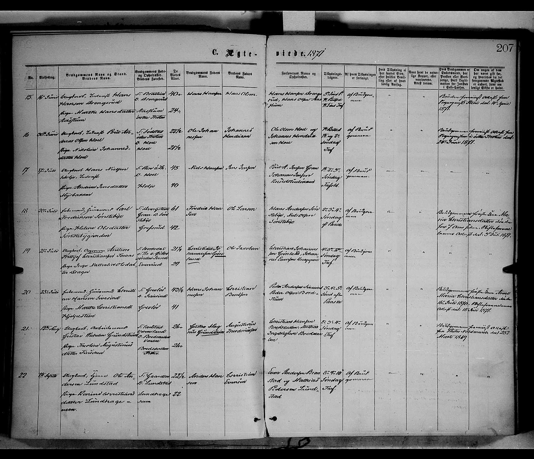 Vestre Toten prestekontor, AV/SAH-PREST-108/H/Ha/Haa/L0008: Parish register (official) no. 8, 1870-1877, p. 207