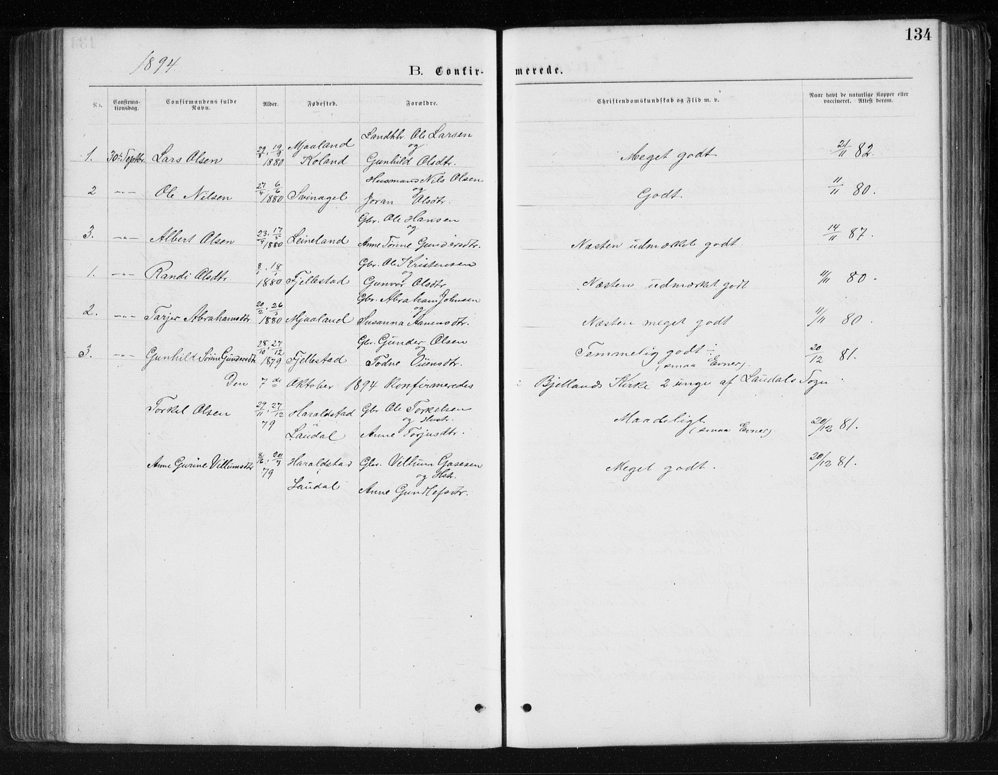 Holum sokneprestkontor, SAK/1111-0022/F/Fb/Fbb/L0003: Parish register (copy) no. B 3, 1875-1898, p. 134