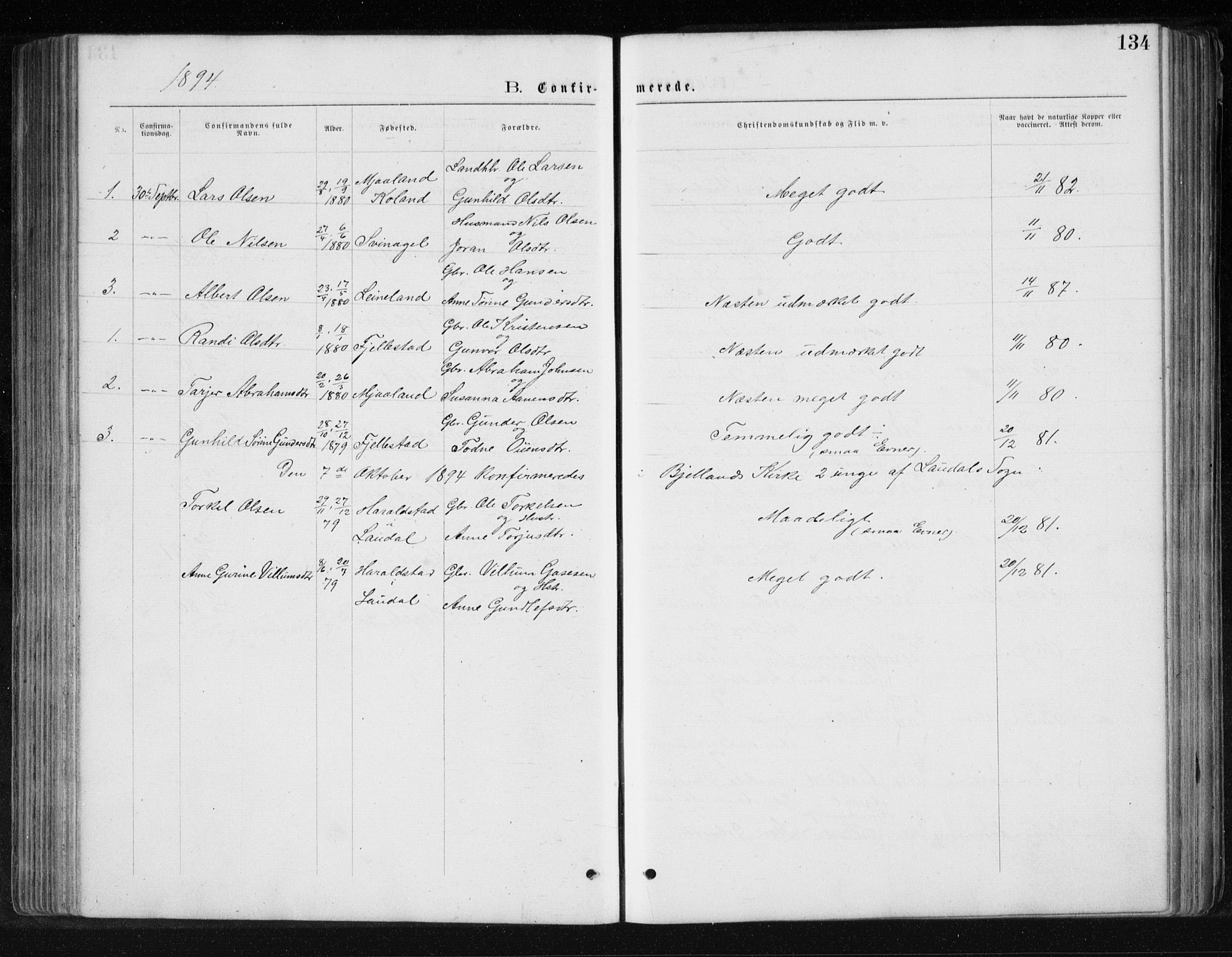 Holum sokneprestkontor, AV/SAK-1111-0022/F/Fb/Fbb/L0003: Parish register (copy) no. B 3, 1875-1898, p. 134