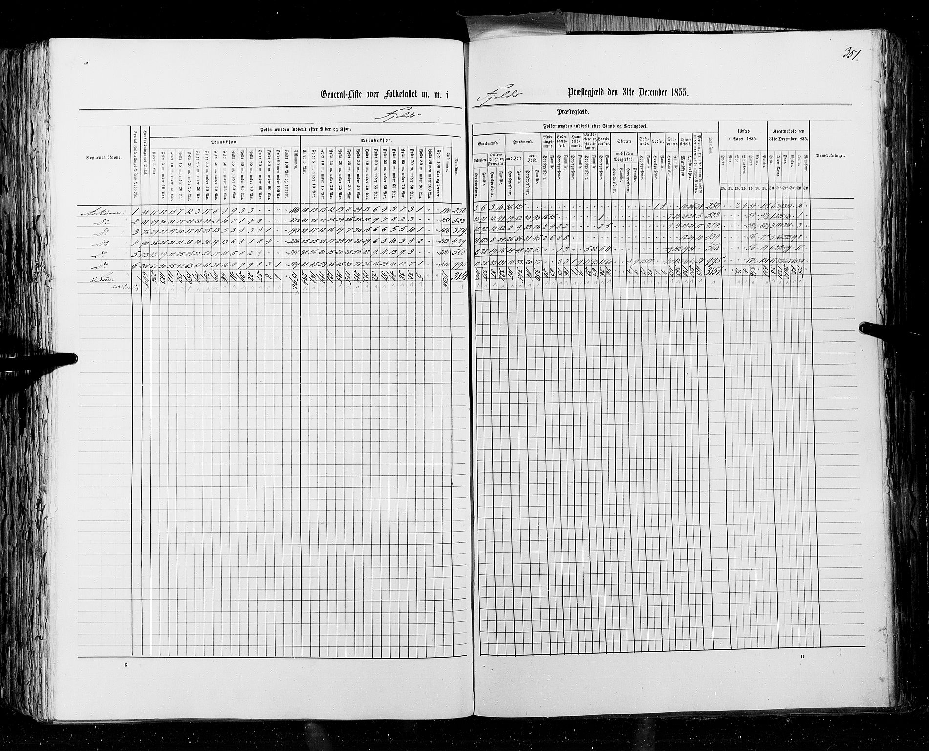 RA, Census 1855, vol. 4: Stavanger amt og Søndre Bergenhus amt, 1855, p. 351