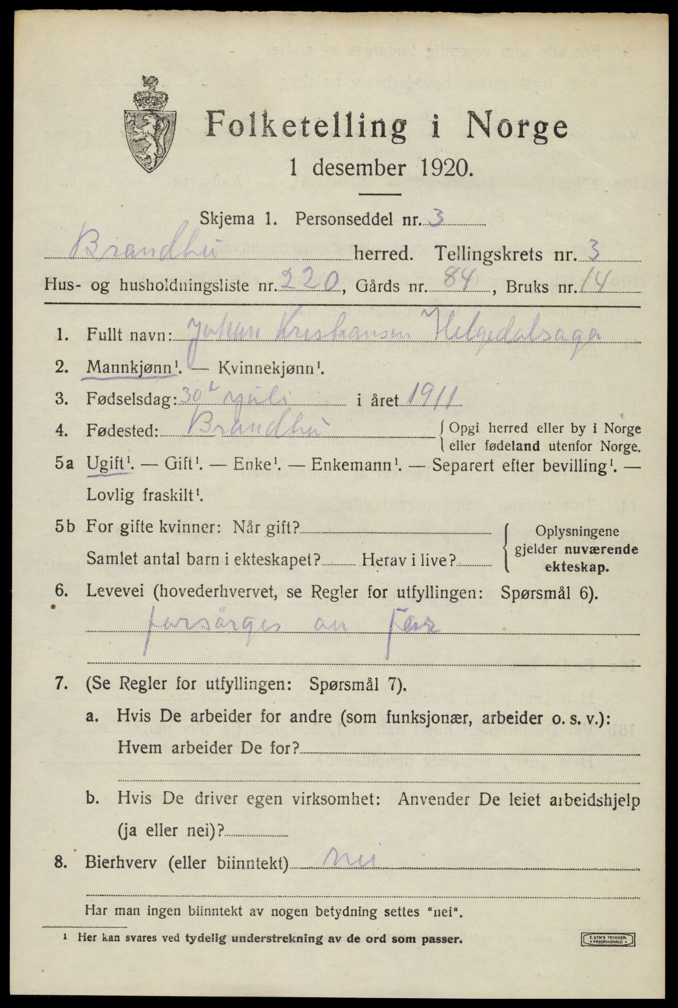 SAH, 1920 census for Brandbu, 1920, p. 10513