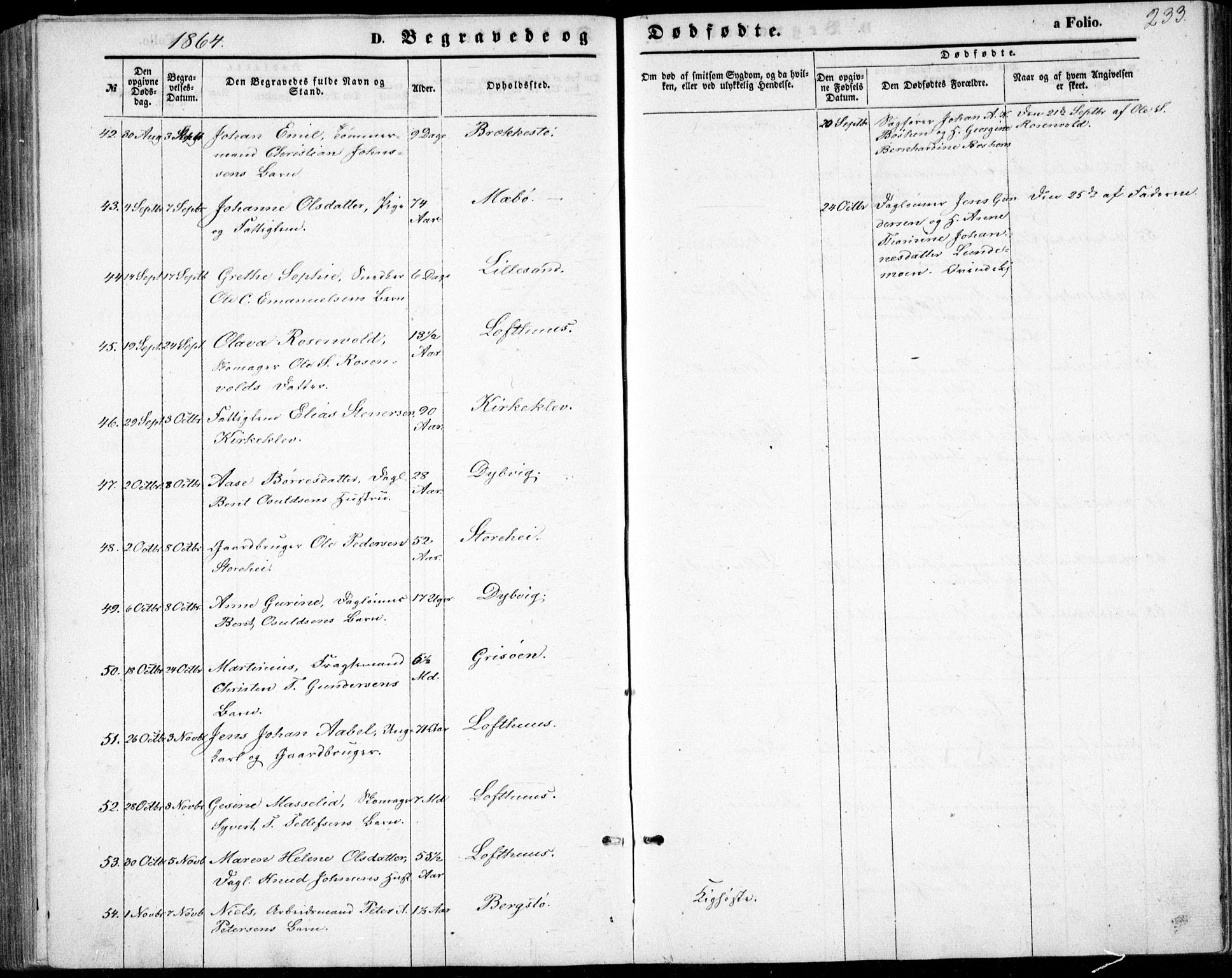 Vestre Moland sokneprestkontor, AV/SAK-1111-0046/F/Fb/Fbb/L0004: Parish register (copy) no. B 4, 1861-1872, p. 233