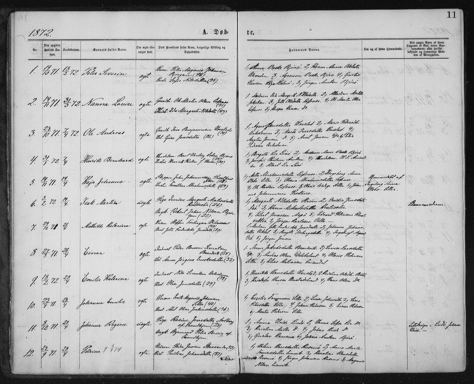 Ministerialprotokoller, klokkerbøker og fødselsregistre - Nord-Trøndelag, SAT/A-1458/771/L0596: Parish register (official) no. 771A03, 1870-1884, p. 11