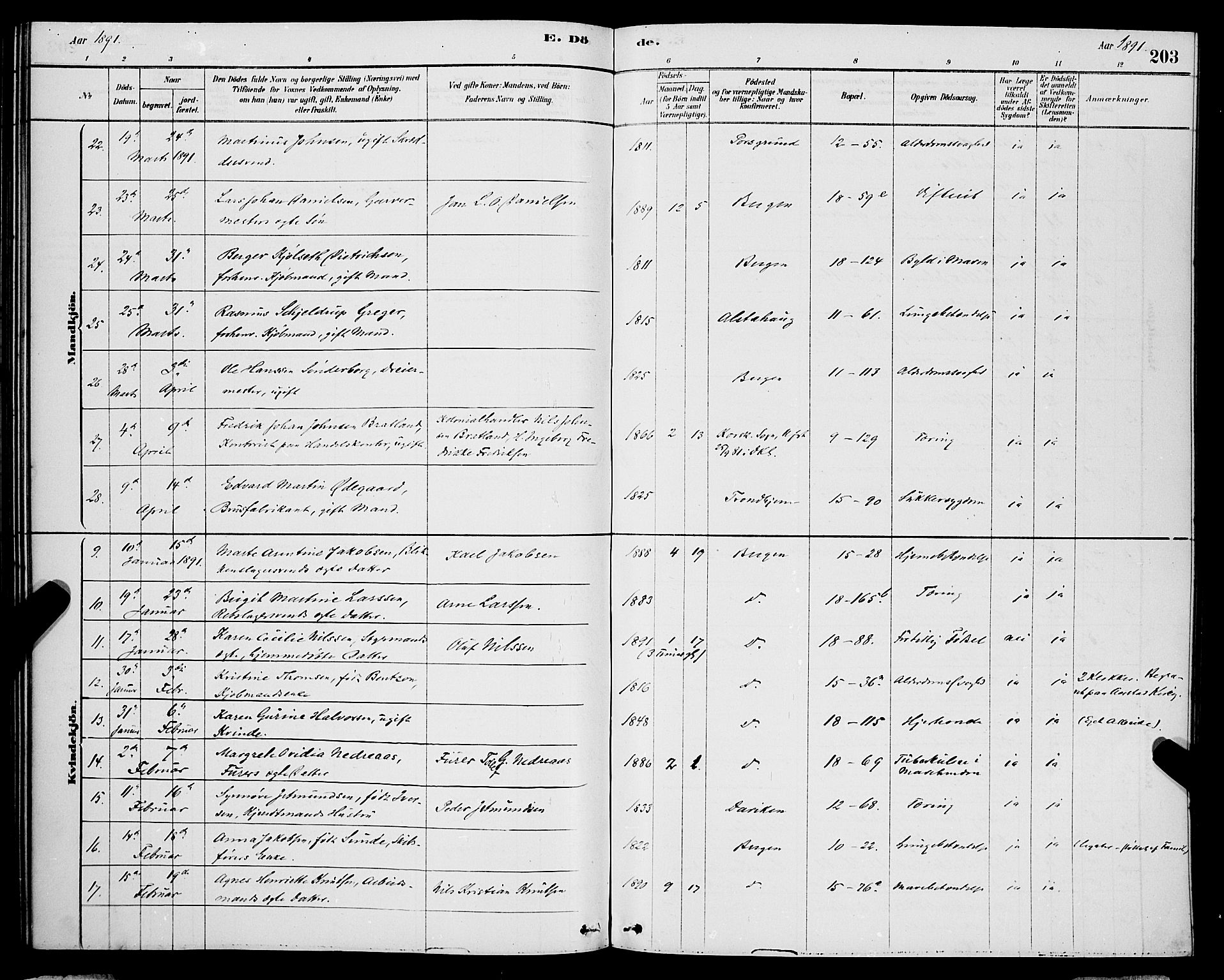 Domkirken sokneprestembete, AV/SAB-A-74801/H/Hab/L0041: Parish register (copy) no. E 5, 1878-1900, p. 203