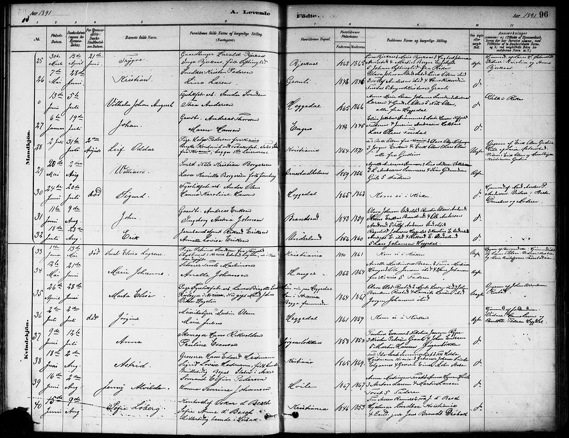 Asker prestekontor Kirkebøker, AV/SAO-A-10256a/F/Fa/L0013: Parish register (official) no. I 13, 1879-1896, p. 96