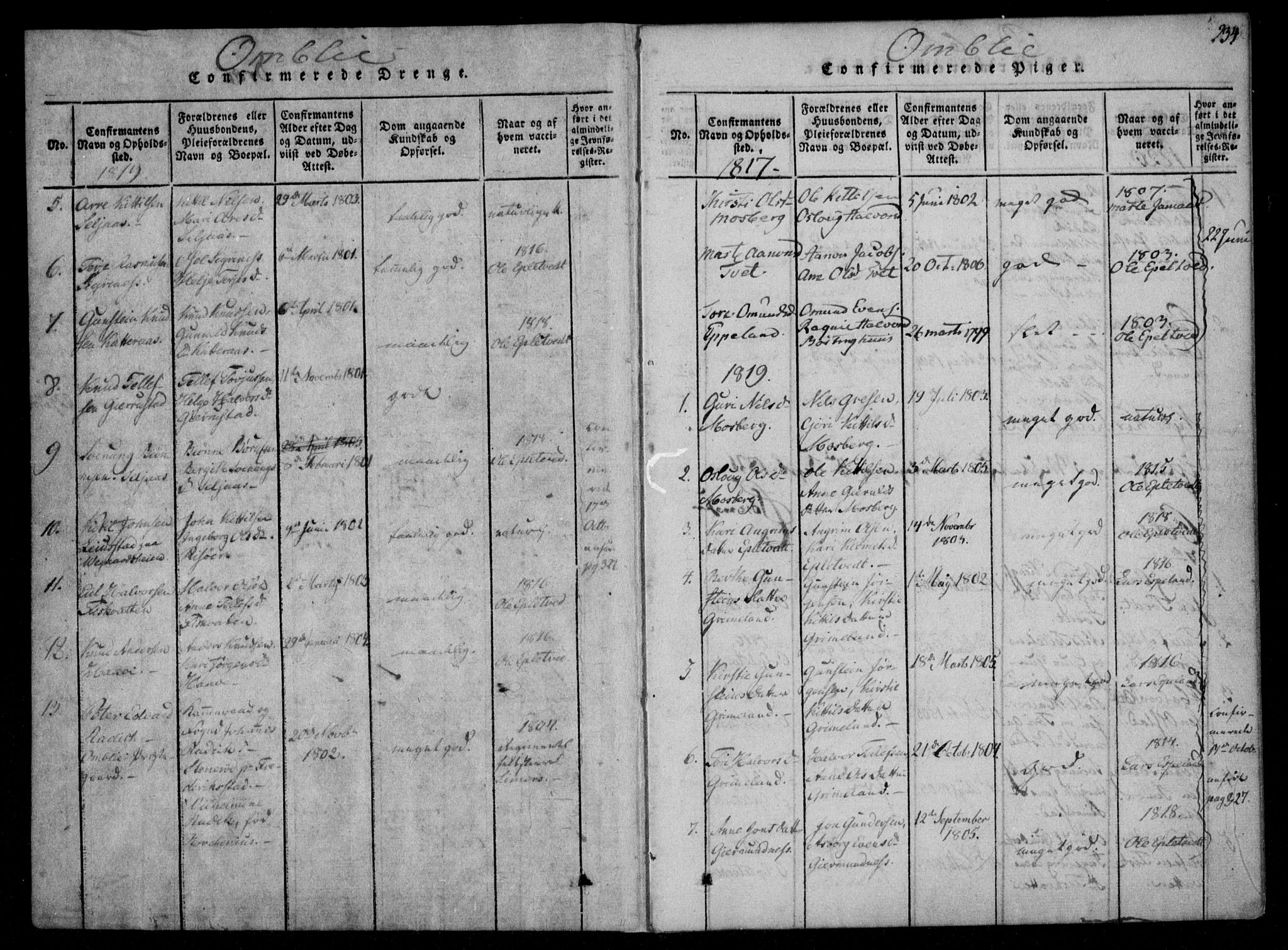 Åmli sokneprestkontor, SAK/1111-0050/F/Fa/Fac/L0006: Parish register (official) no. A 6, 1816-1829, p. 234