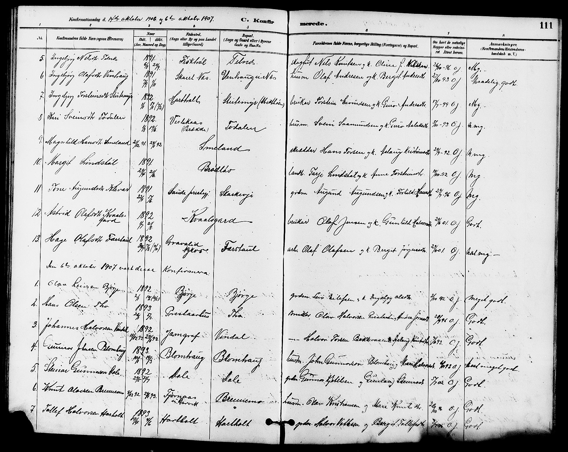 Seljord kirkebøker, SAKO/A-20/G/Ga/L0005: Parish register (copy) no. I 5, 1887-1914, p. 111