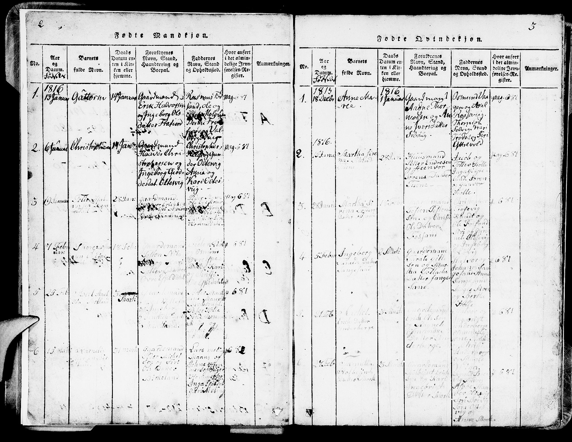 Strand sokneprestkontor, SAST/A-101828/H/Ha/Hab/L0002: Parish register (copy) no. B 2, 1816-1854, p. 2-3