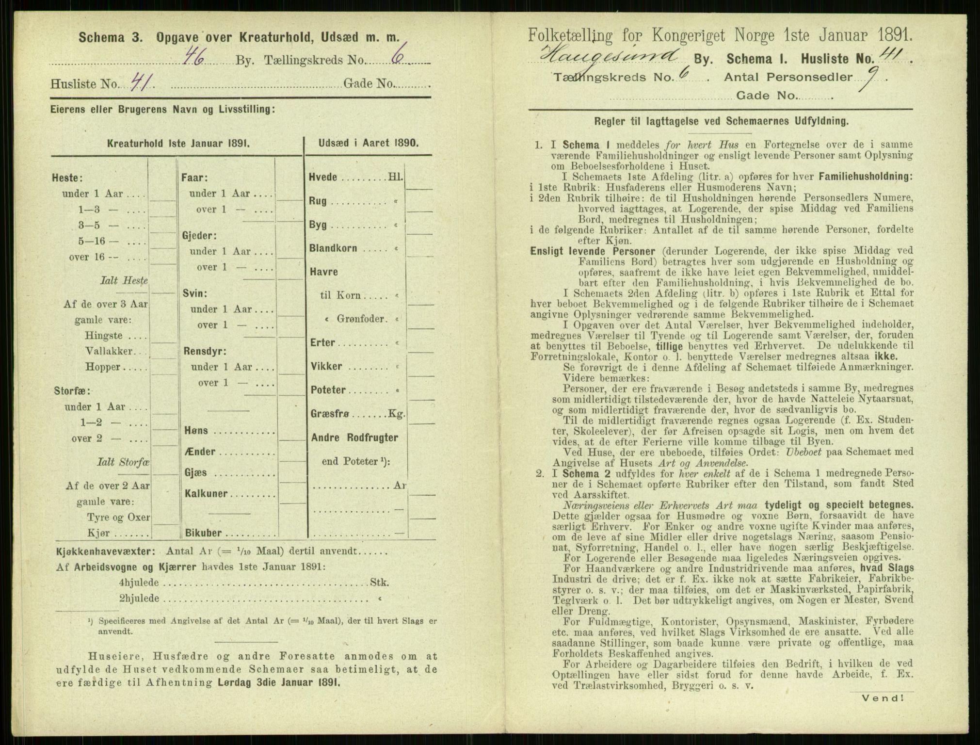 RA, 1891 census for 1106 Haugesund, 1891, p. 465