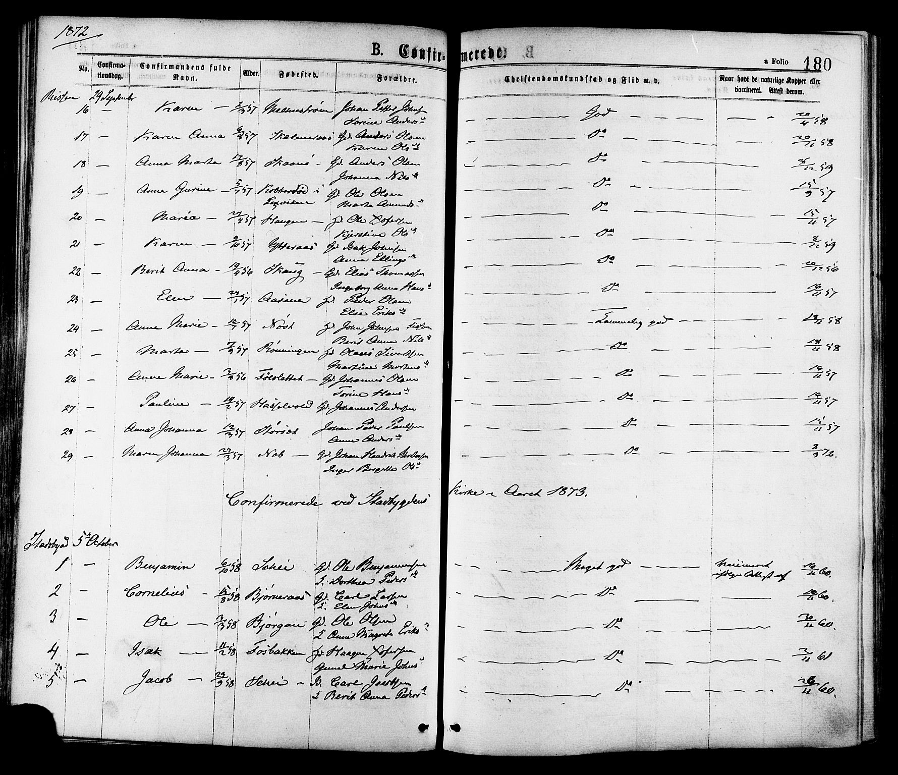 Ministerialprotokoller, klokkerbøker og fødselsregistre - Sør-Trøndelag, SAT/A-1456/646/L0613: Parish register (official) no. 646A11, 1870-1884, p. 180